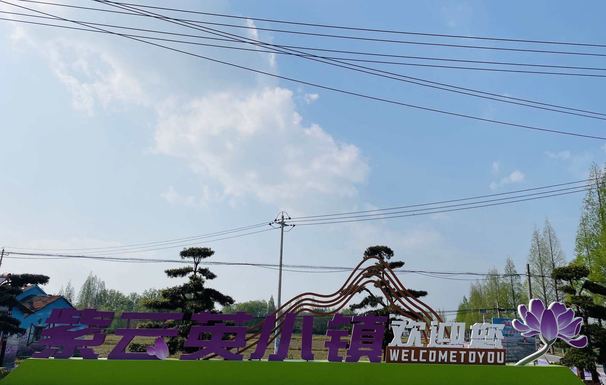 相约安徽向春而行# 中国紫云英/千年弋江镇 芜湖南陵弋江镇!