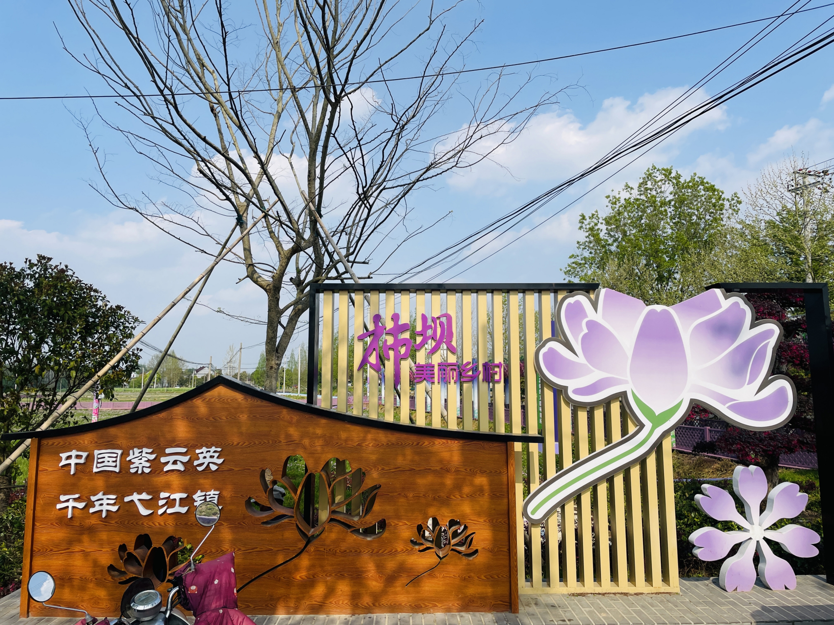 相约安徽向春而行# 中国紫云英/千年弋江镇 芜湖南陵弋江镇!