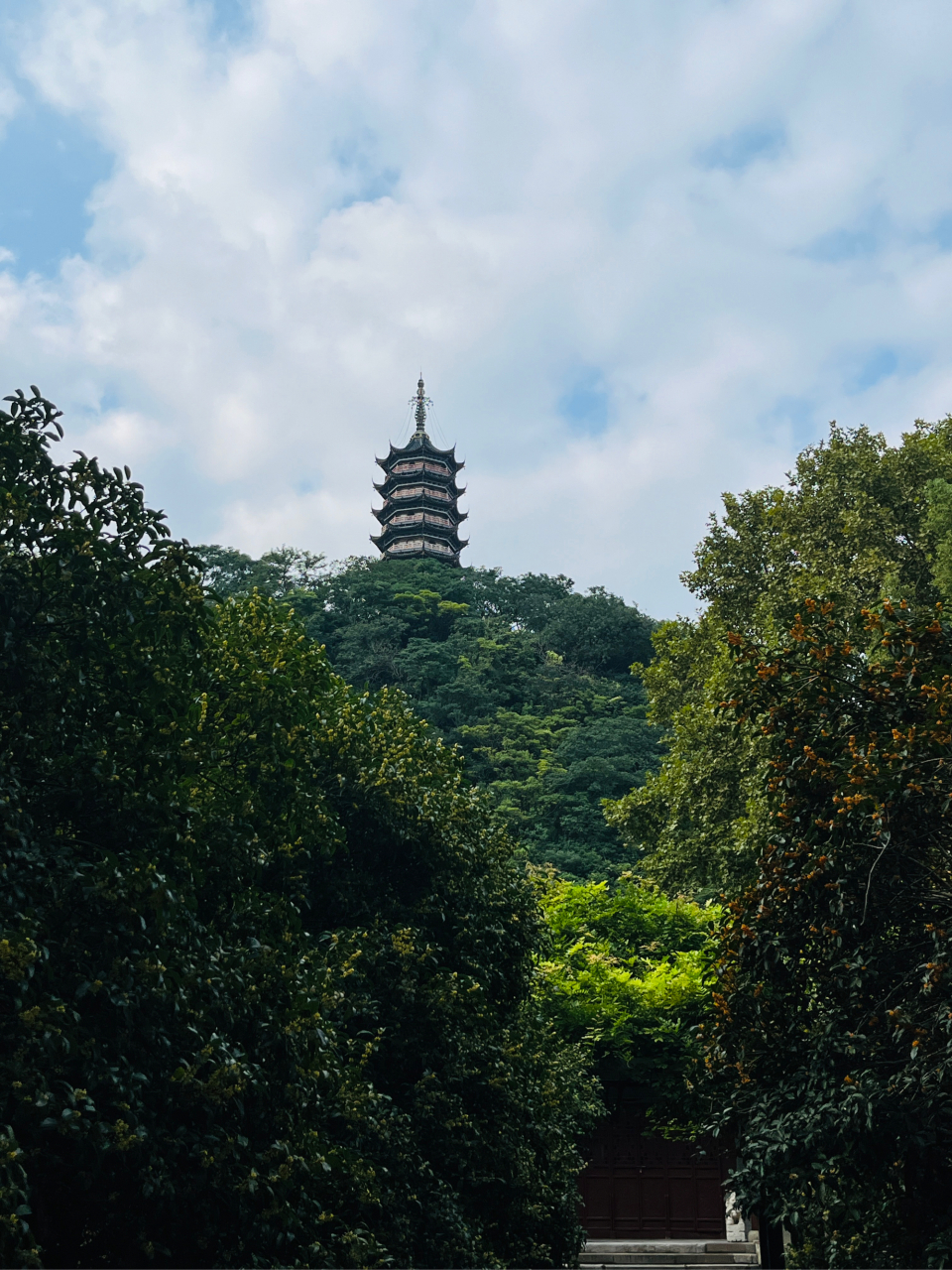 金秋桂花 浮玉飘香[鼓掌] 我在镇江—焦山风景区[欧耶] 焦山风景区是