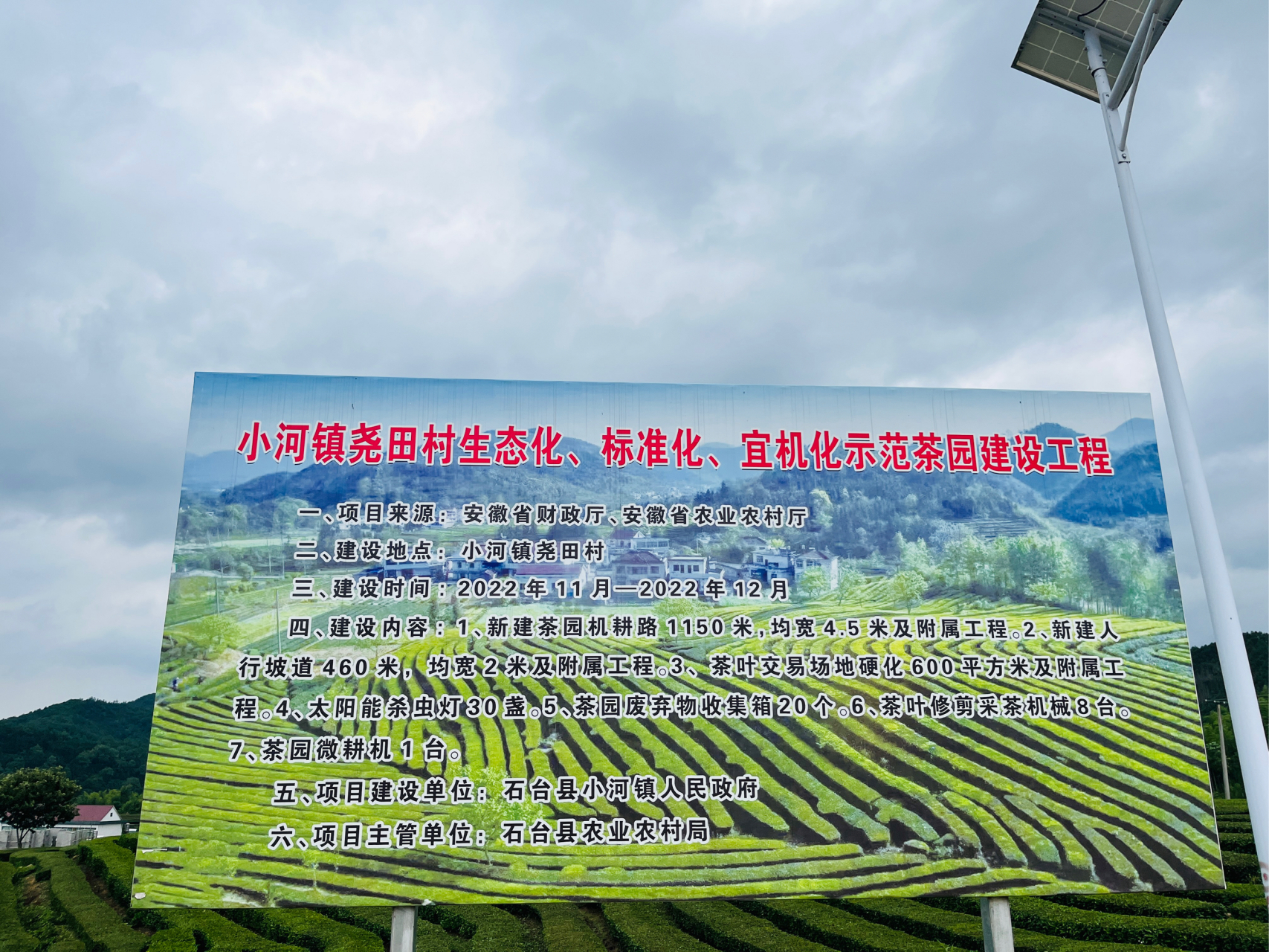 石台小河镇尧田村—茶园 风景很美[鼓掌][打call]#石台县# #乡村振兴