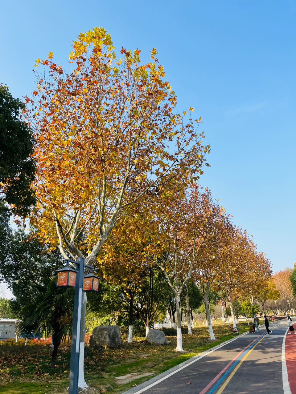 打卡芜湖神山公园,秋冬氛围色调! 这个冬天很芜湖!