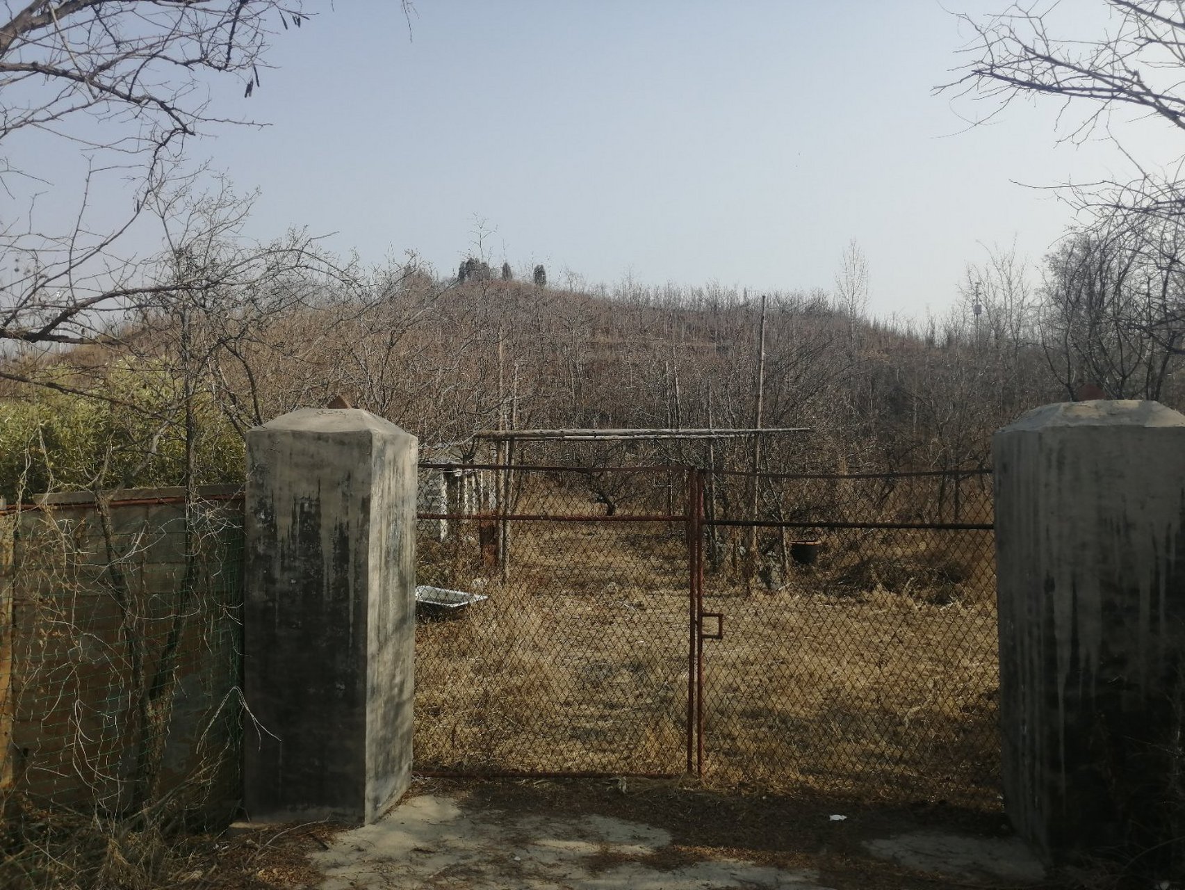 这是位于临淄区齐陵镇的齐四王冢.是齐国旅游必去之地