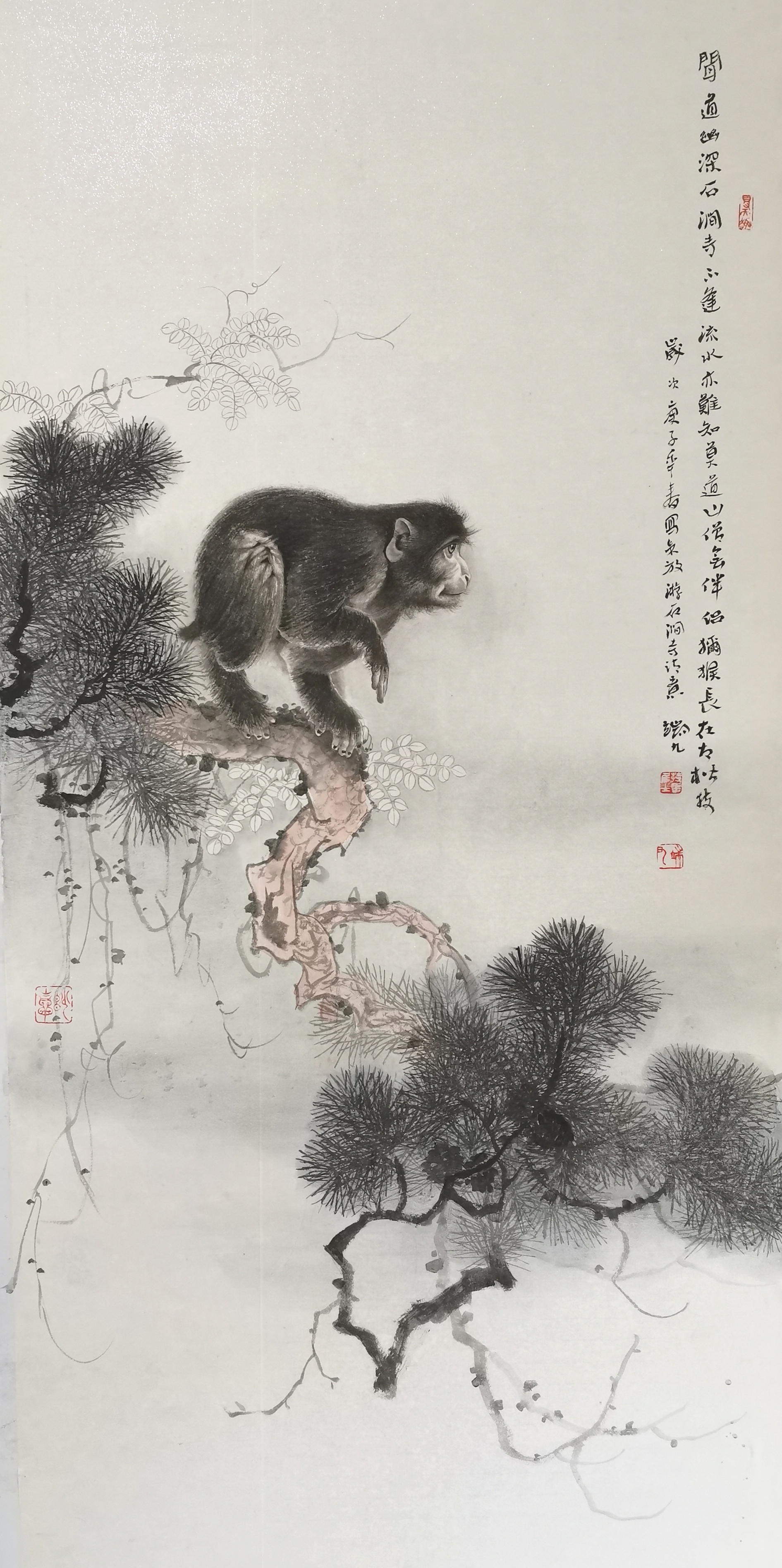 工笔国画猴子作品欣赏图片