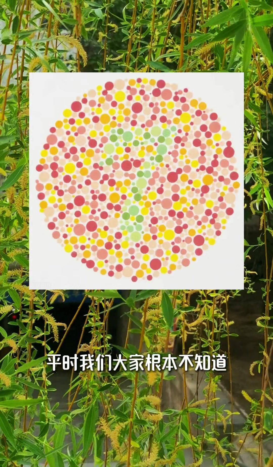 色差是什么意思?如何判定與測量?