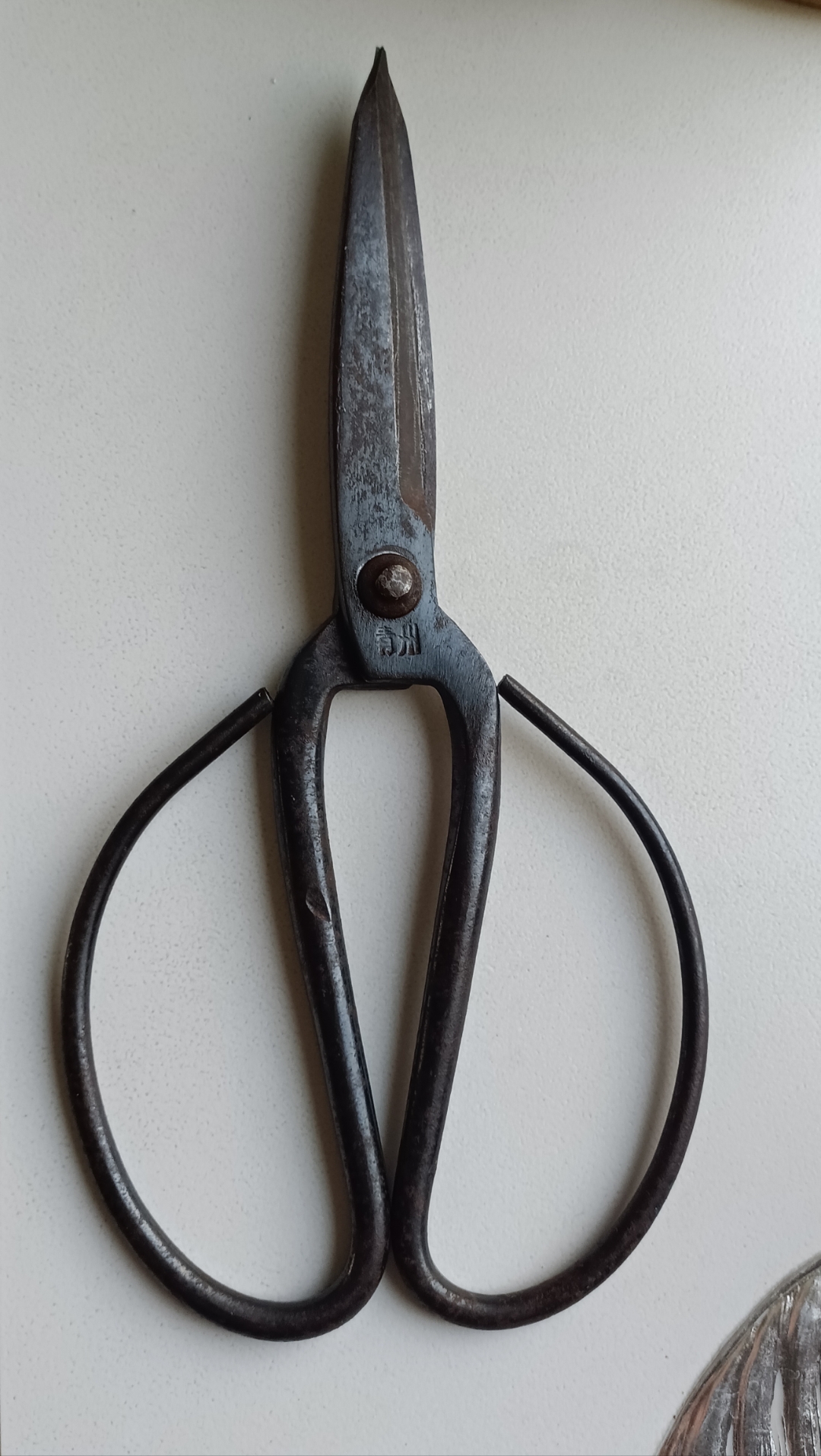 去地下室整理物品时,偶然发现老式铁剪刀,有点锈迹斑斑了,拿上来用油