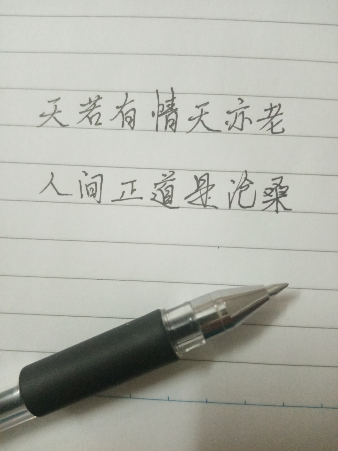 诗句天若有情天亦老下一句是什么?