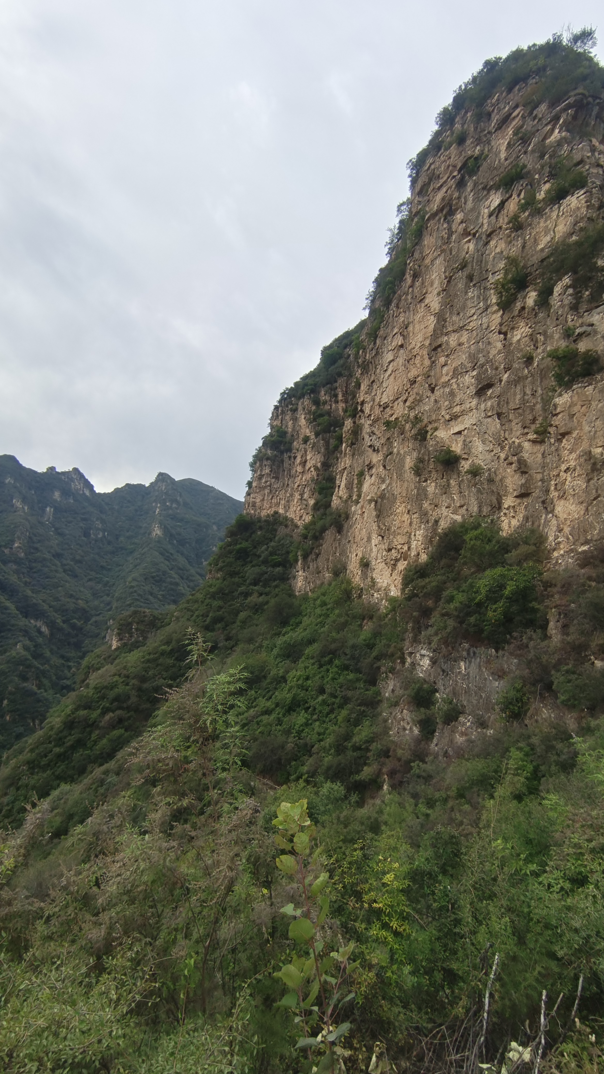 走进大山电视剧图片