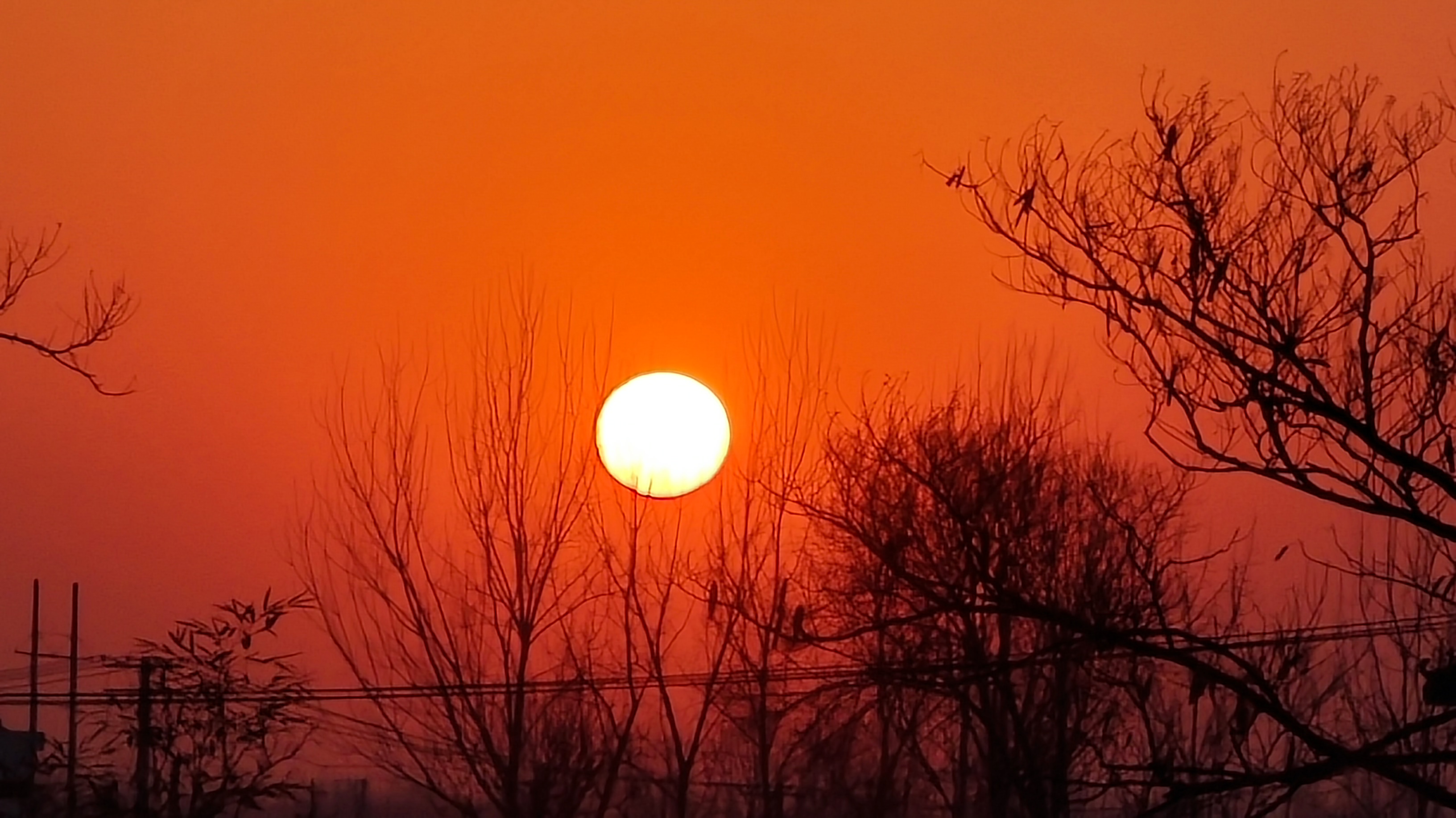 红色的晚霞  天边的晚霞红彤彤,如火一般热烈.