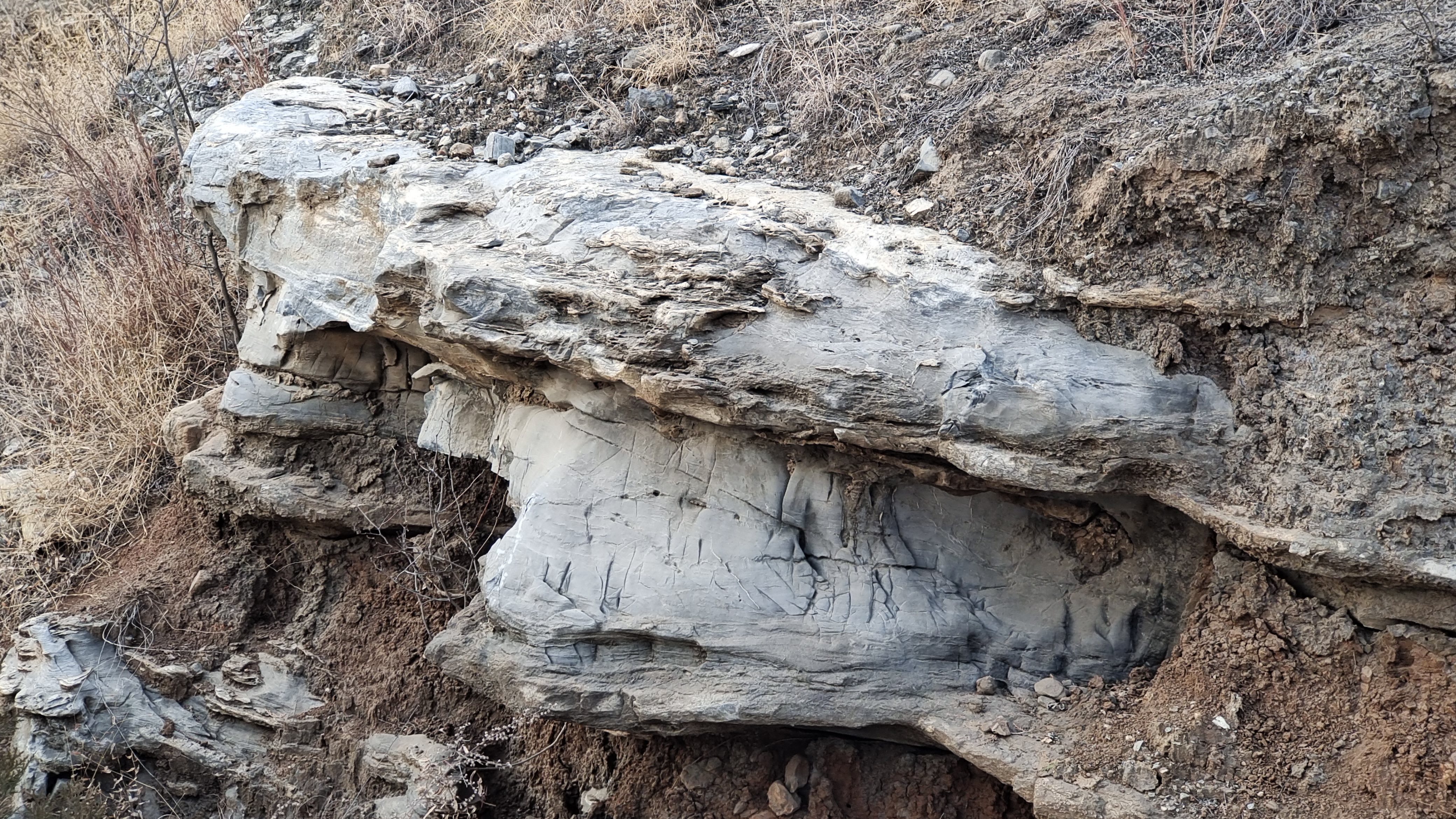 奇形怪状的山石  多年的风吹日晒雨淋,形成了这些石头现在的形状.