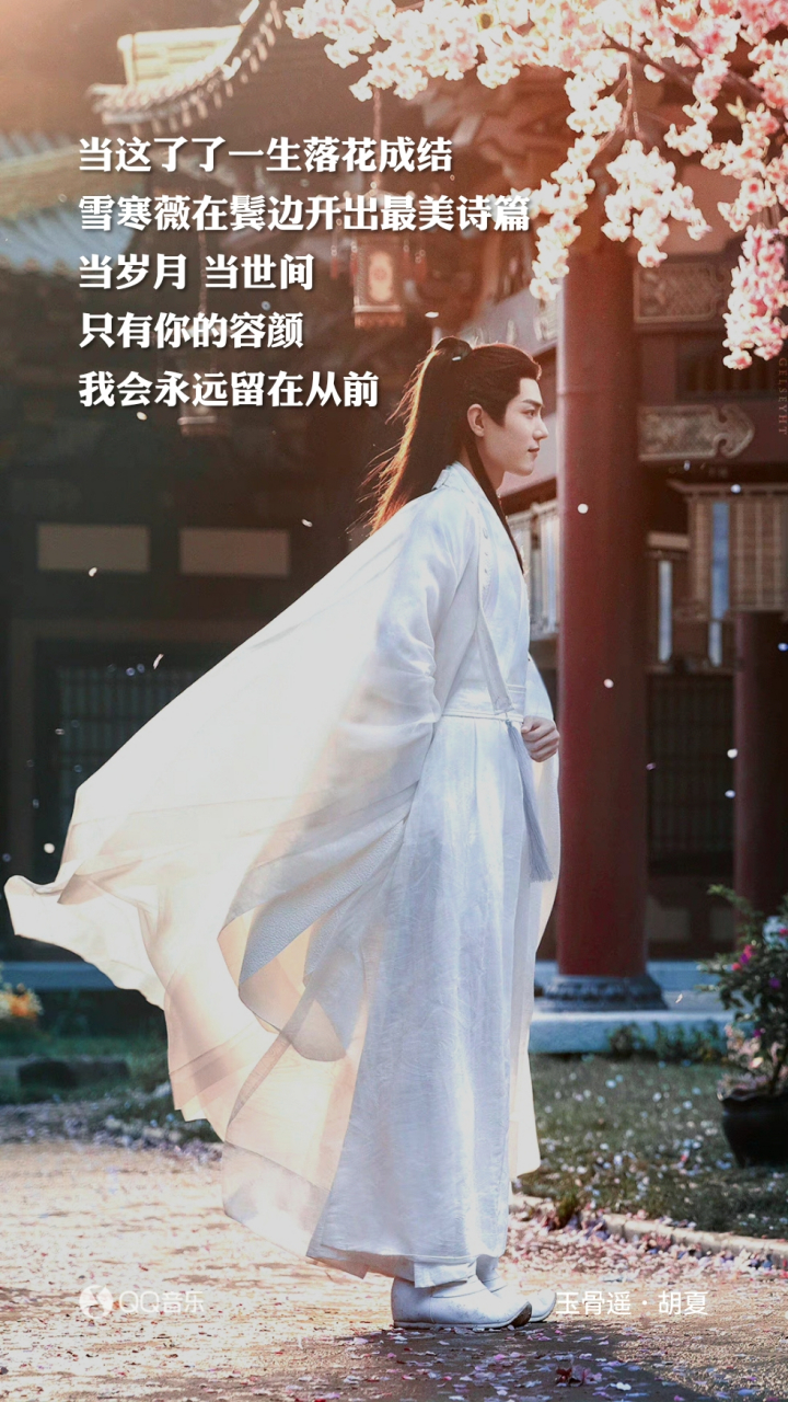 当这了了一生落花成结 雪寒薇在鬓边开出最美诗篇