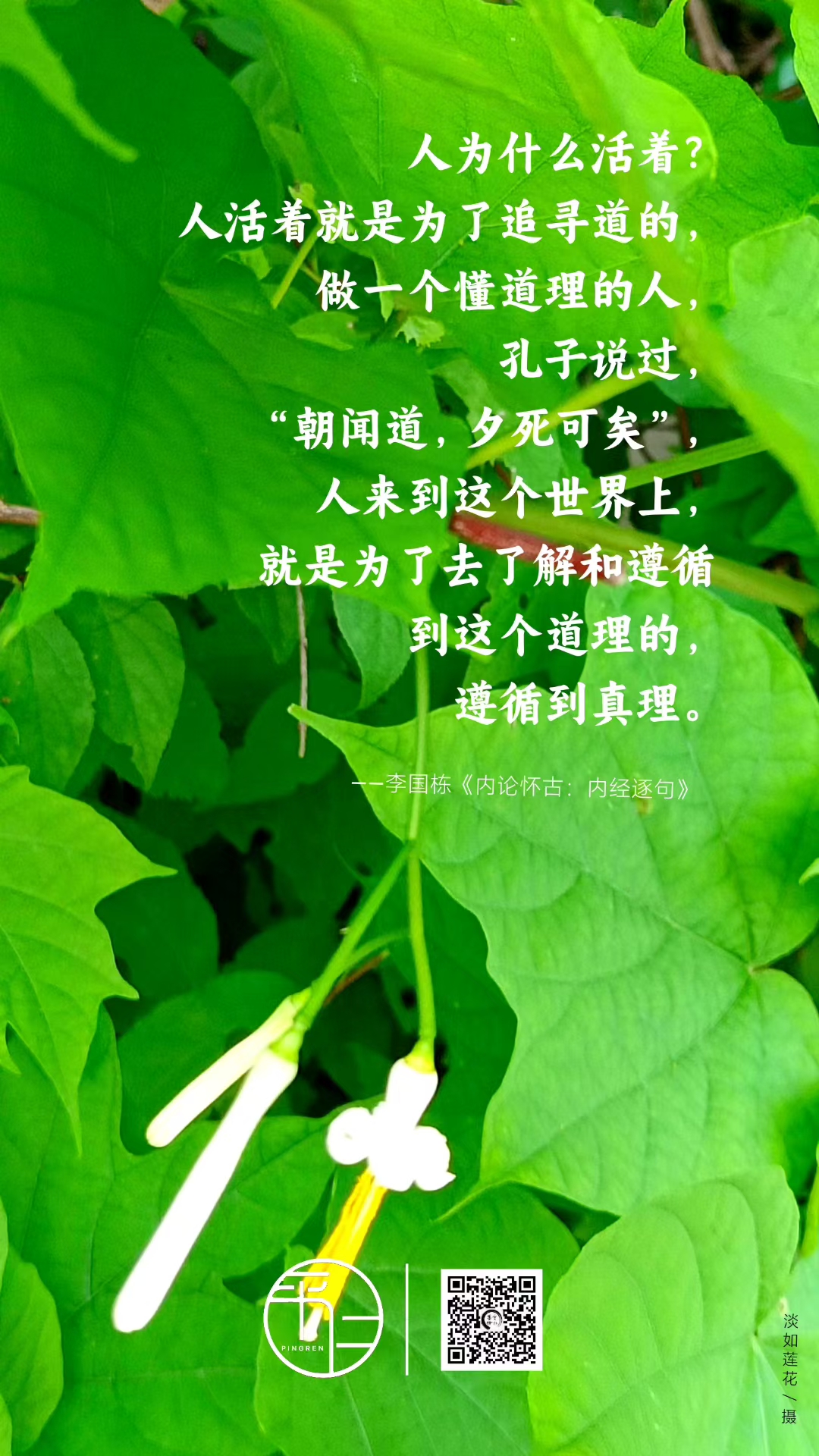 人为什么要活着