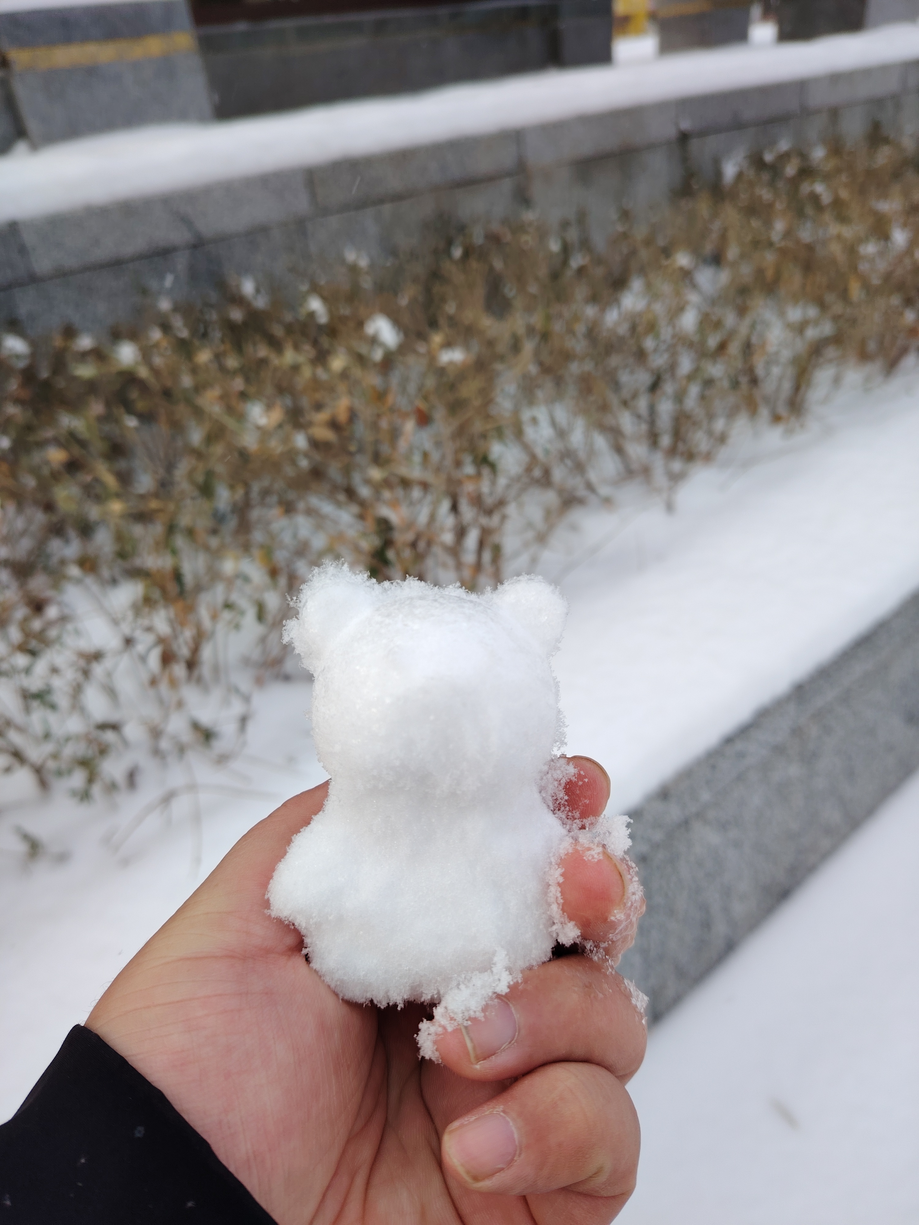 雪人真实照片图片