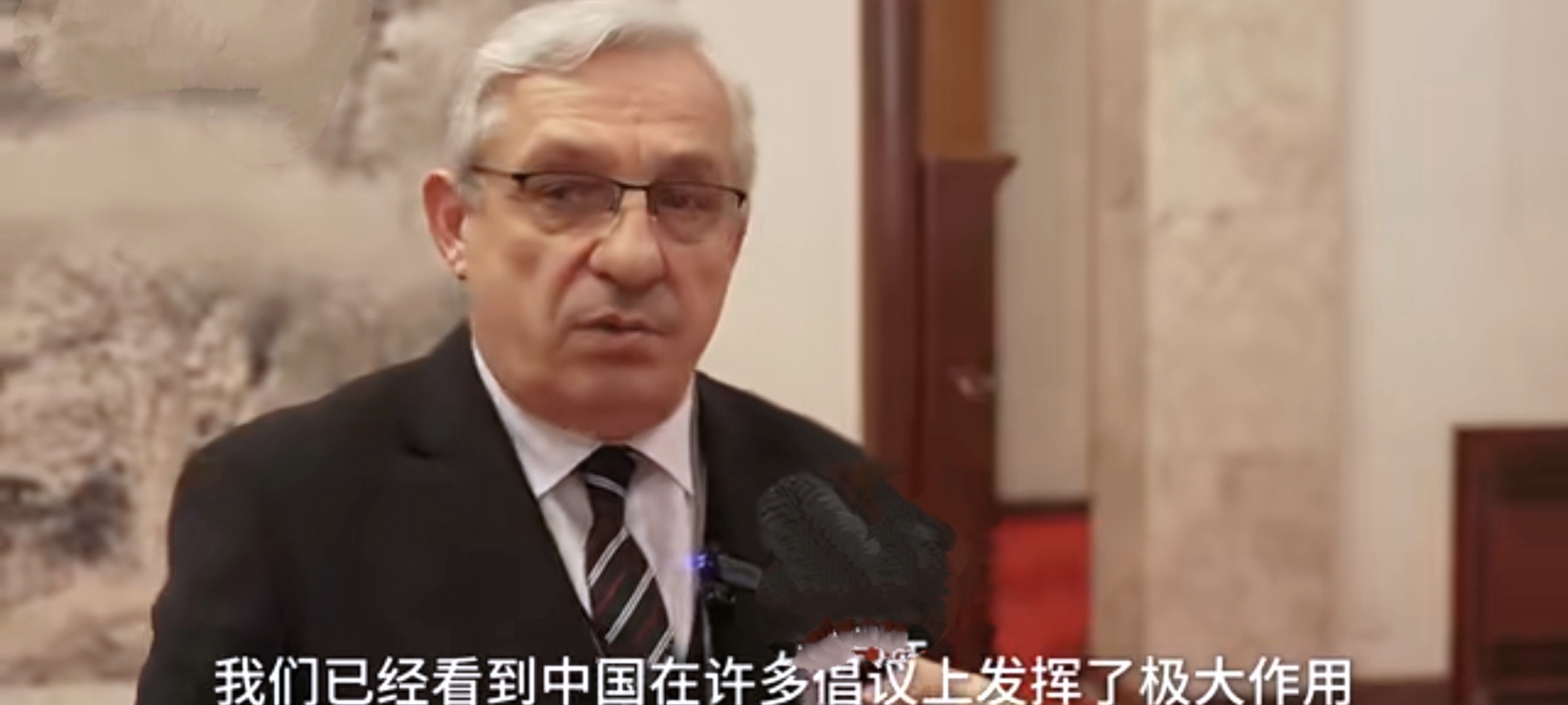 有感于驻华大使参与两会