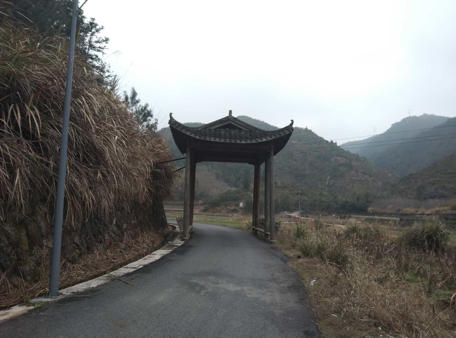 祝全天下的女人,女神节快乐!