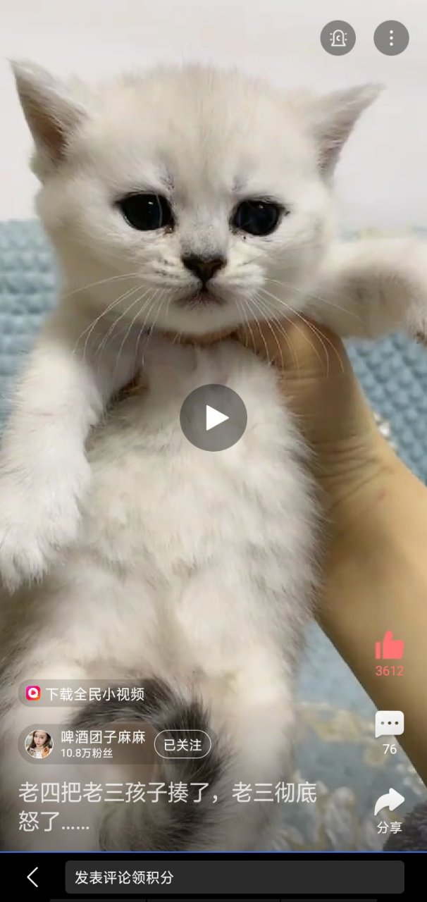 啤酒团子麻麻的视频特别好看,加油鸭!