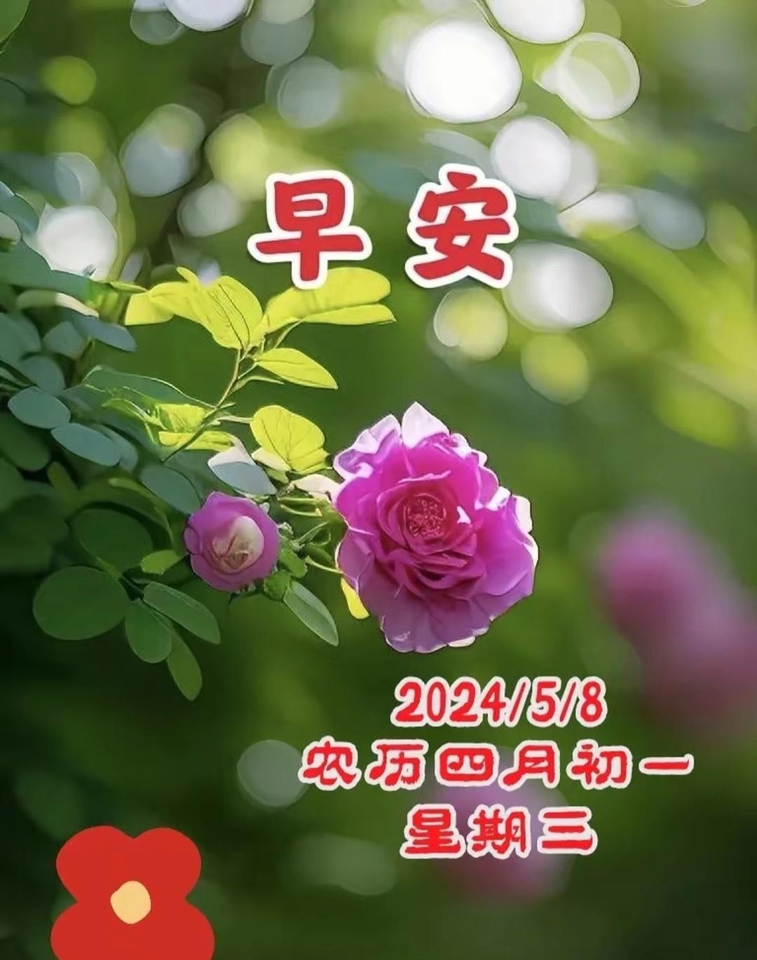 非洲黑人大战肥女现场直击，万人围观场面混乱，双方扭打持续三分钟，事件引发全网热议