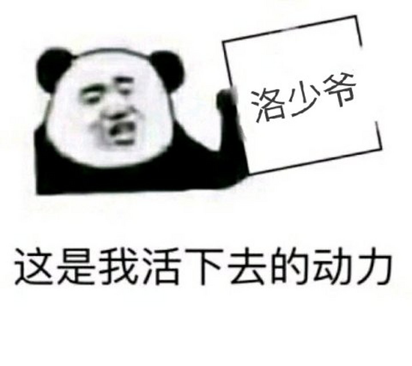 洛少爷《荆棘花园》歌曲改编同人小说   在一座高档的医院里,有一名