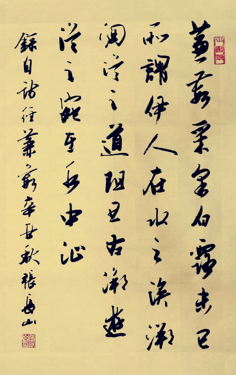 张长山行书作品:蒹葭(第三章).