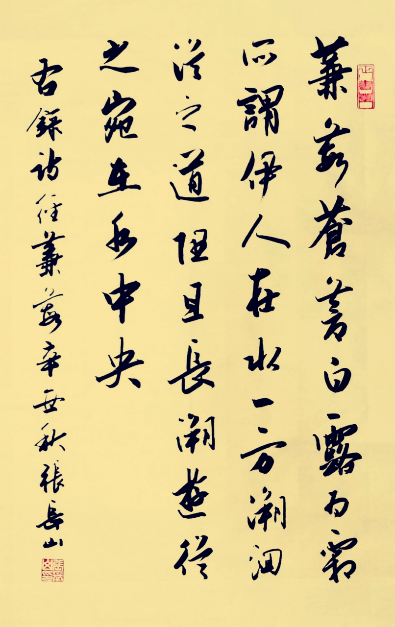 张长山行书作品:蒹葭(第一章).