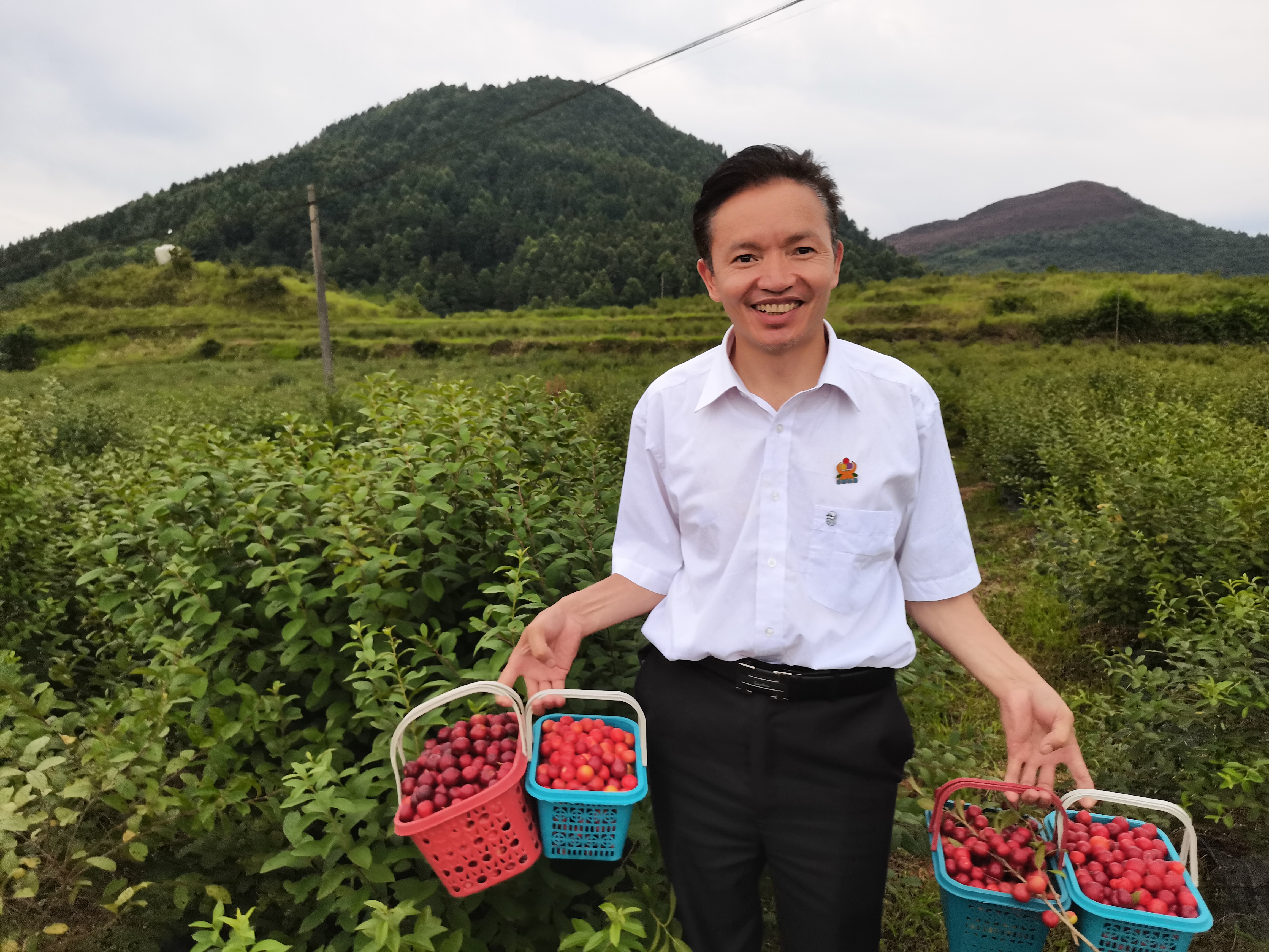 怕上火就吃马郎圣果