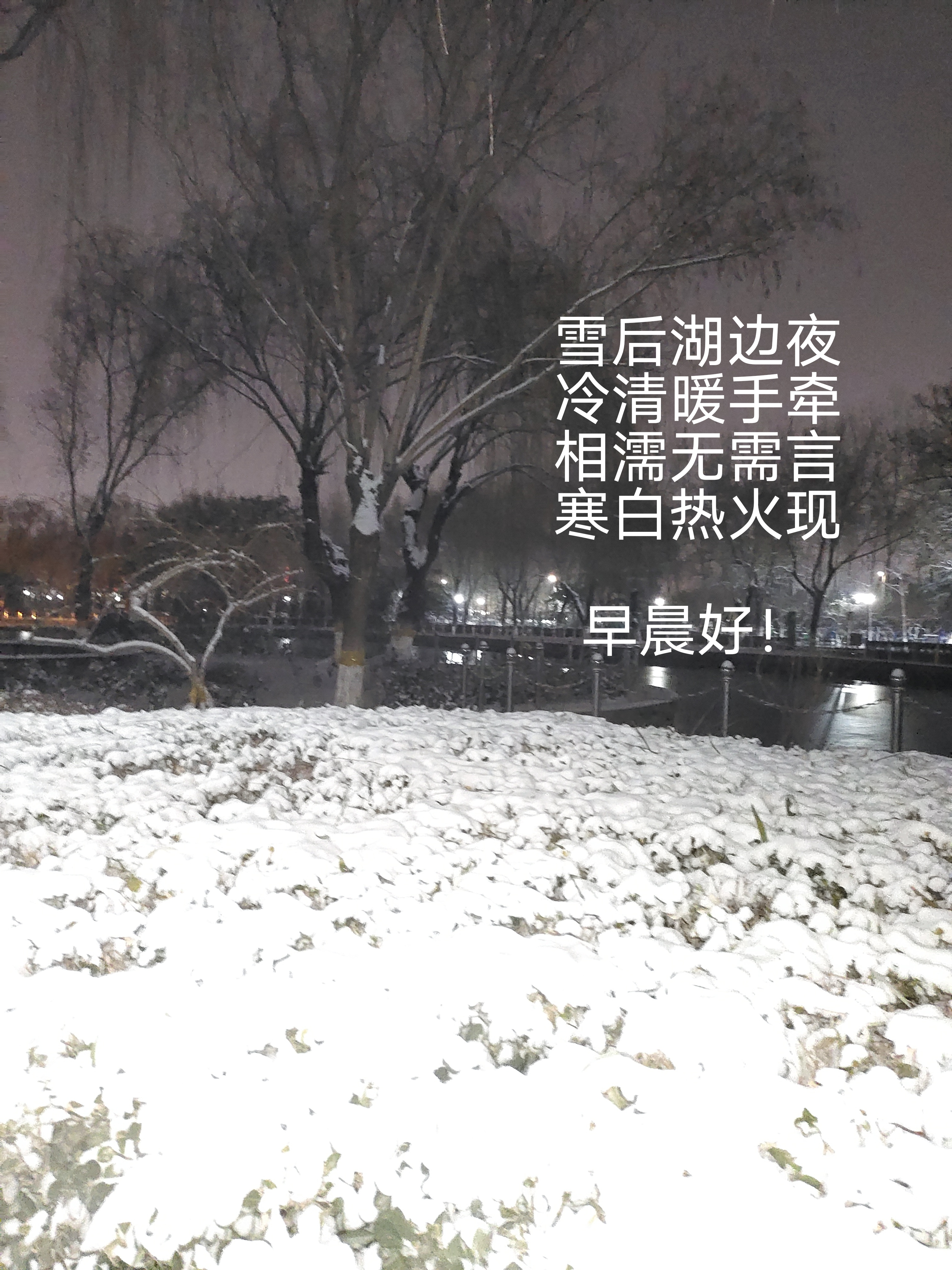 深夜雪景的文案图片