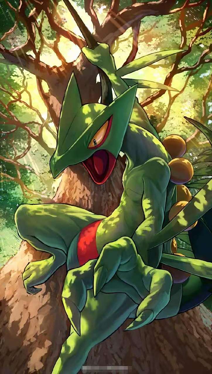 木守宫 , 森林蜥蜴, 蜥蜴王