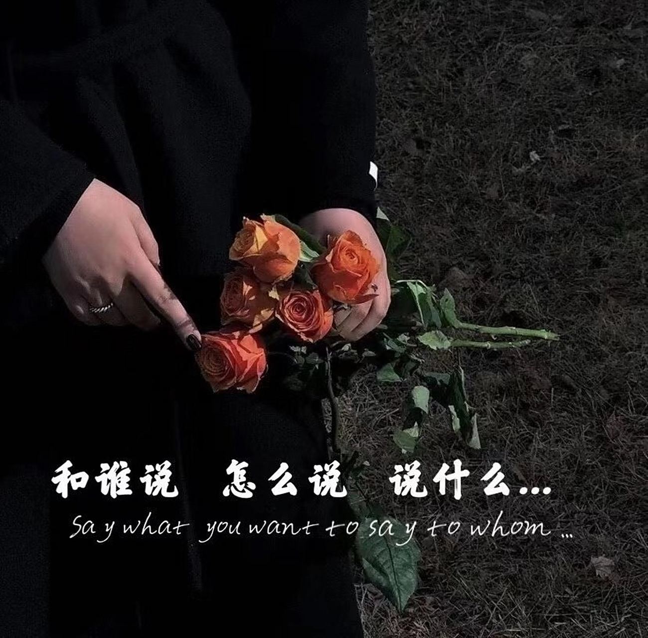 不管怎么样,生活还得继续,我也得找到我生活的意义!