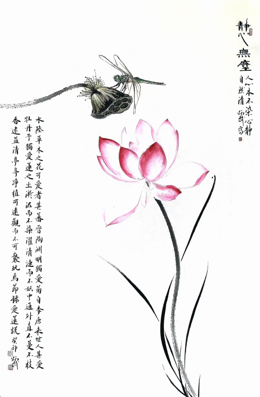 心如莲花净 芬芳不染心#艺术# #国画#