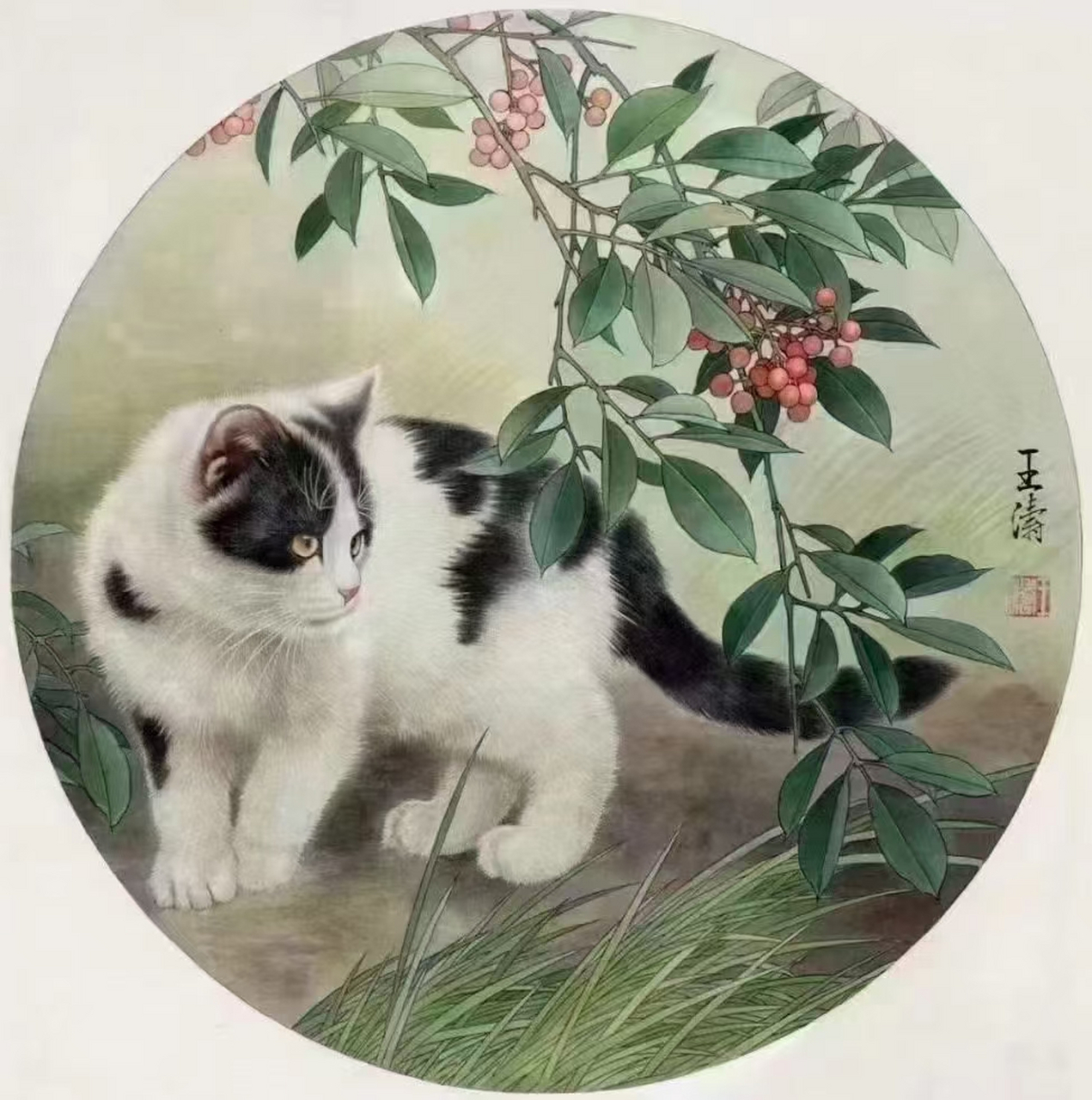 画猫名家王涛老师#艺术# #国画