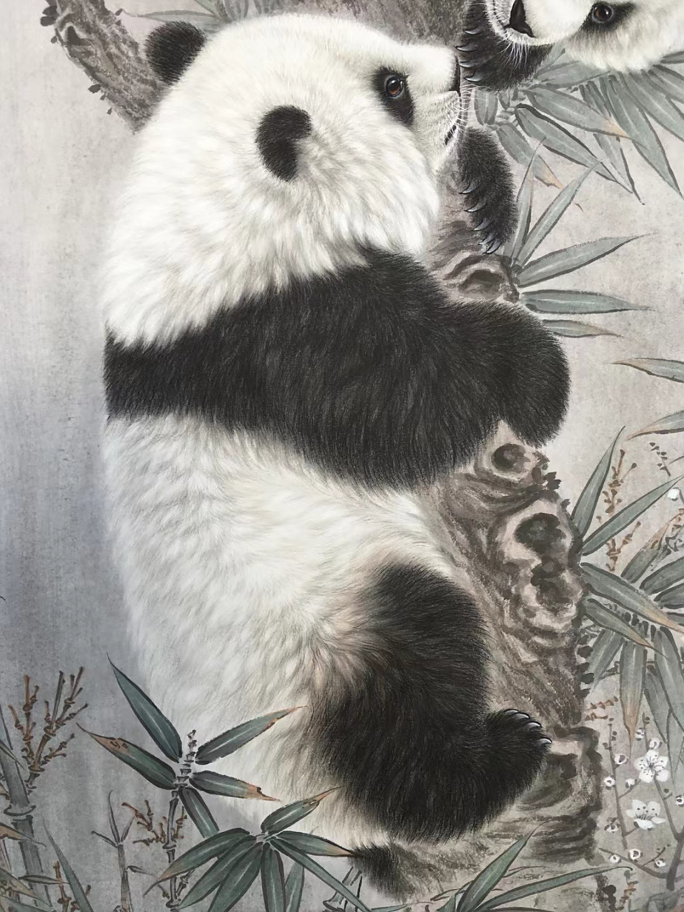 张玉涛老师工笔熊猫#艺术# #国画