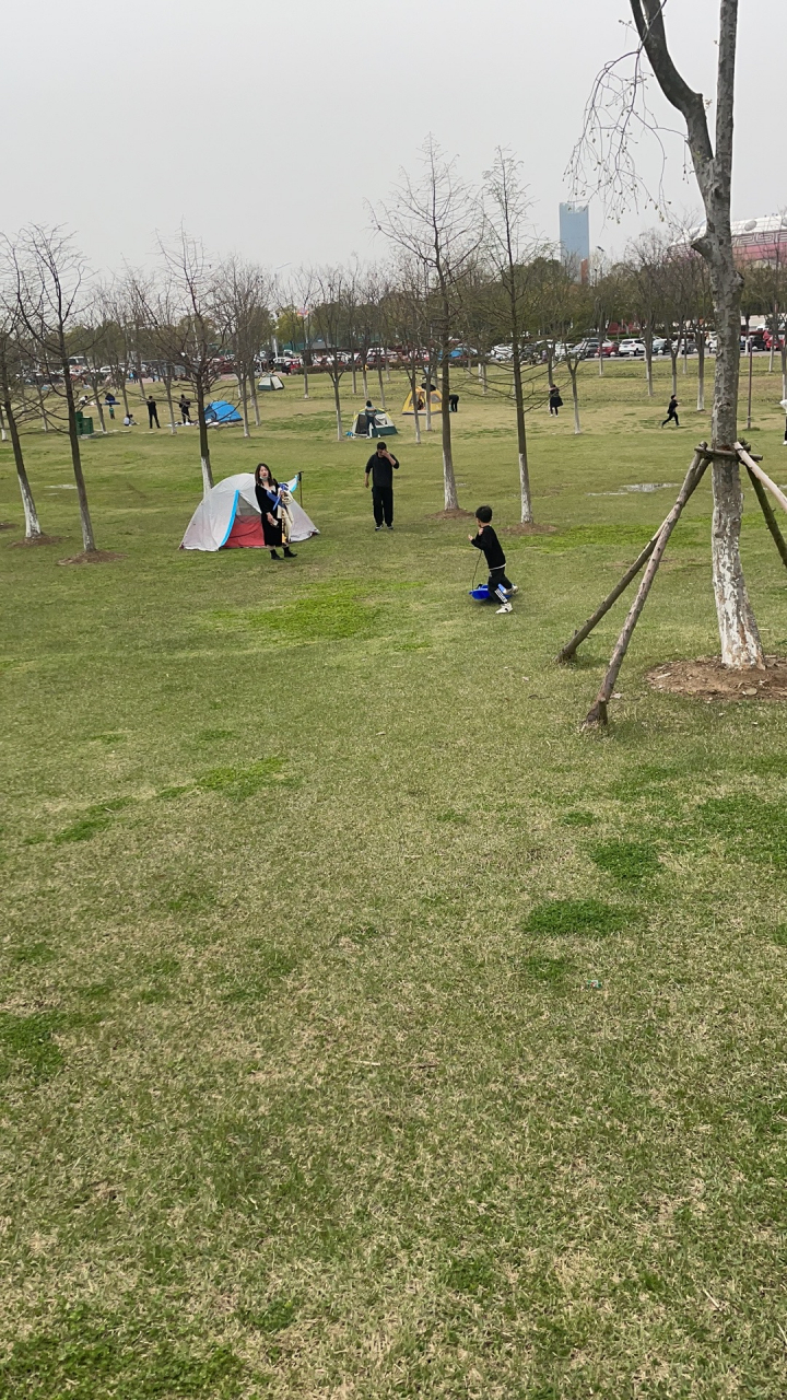 又到了春天放风筝的时节,合肥岸上草原迎来了好多大朋友带小朋友来