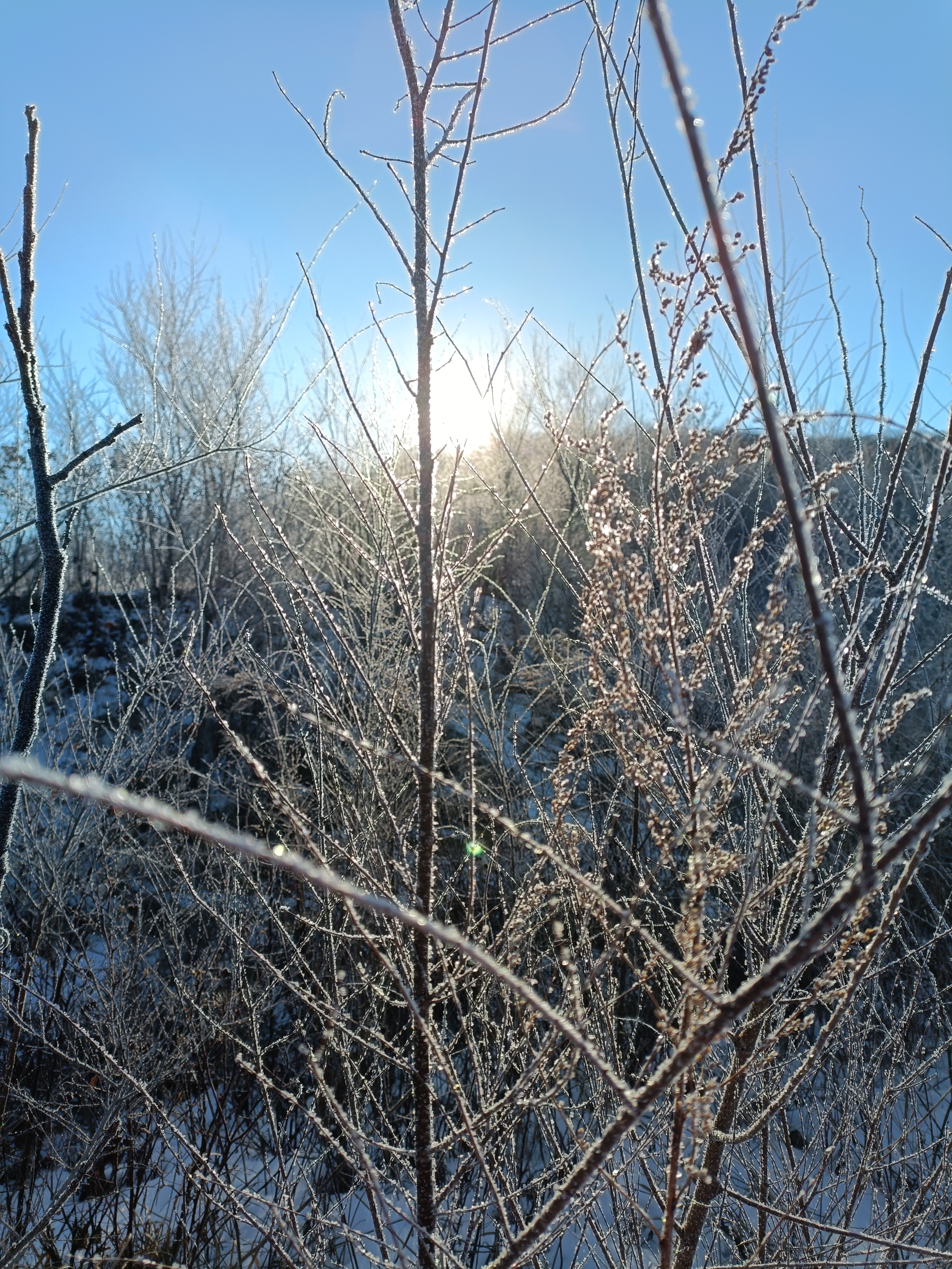 那些冬天才有的美景 冬日奇趣,与雪共舞 如果你问我,冬日里最不