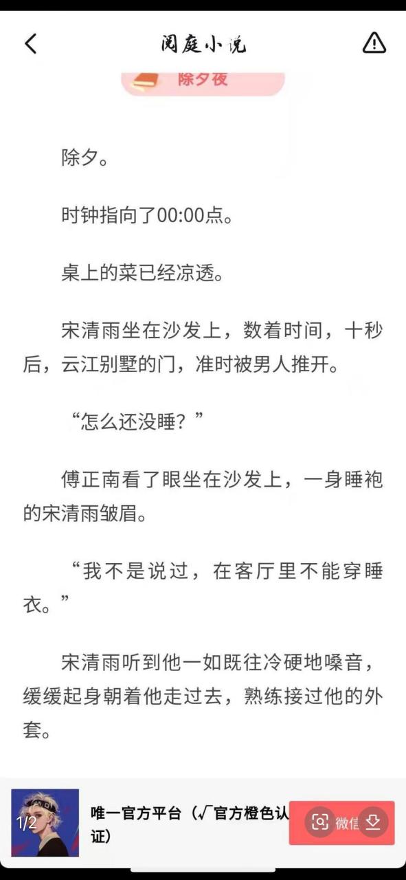 《宋清雨傅正南》又名《宋清雨傅正南/除夕夜》抖音小说全文在线完结