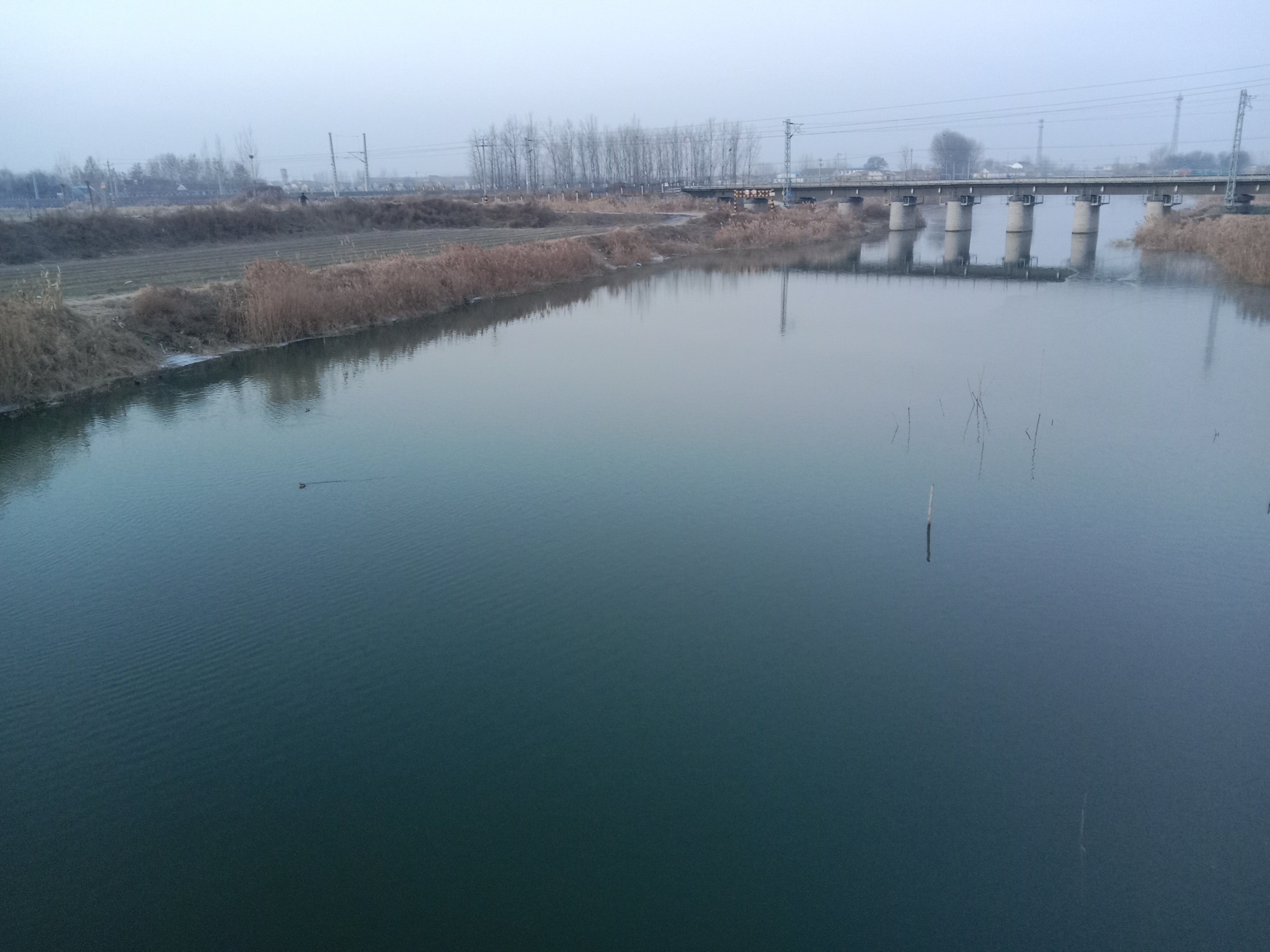 当我有了钱 不与女人争长,不与闲人论短 坚持锻炼