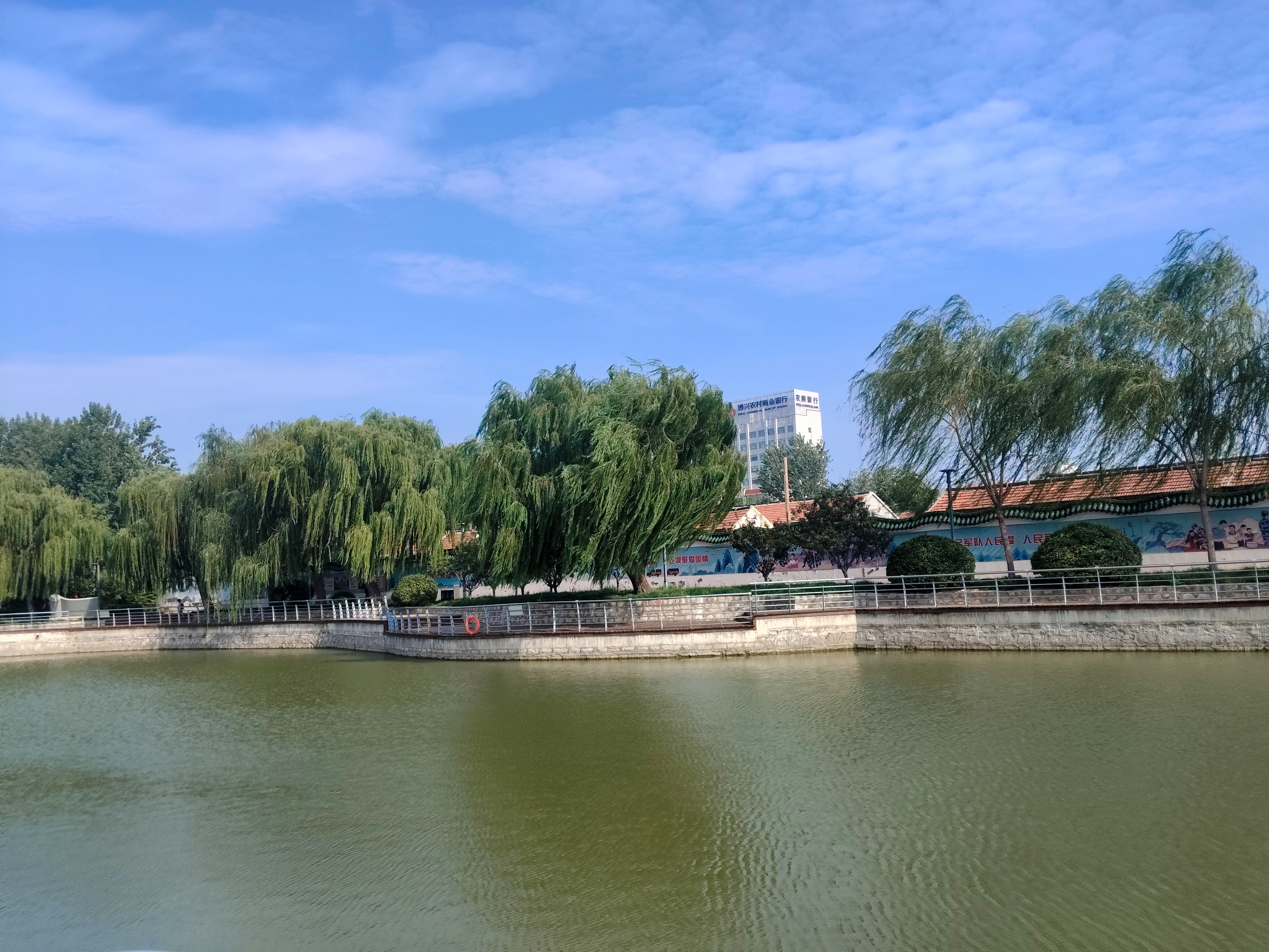 夏日  夏日减肥好时间 吃好睡好乐清闲 油盐减半菜