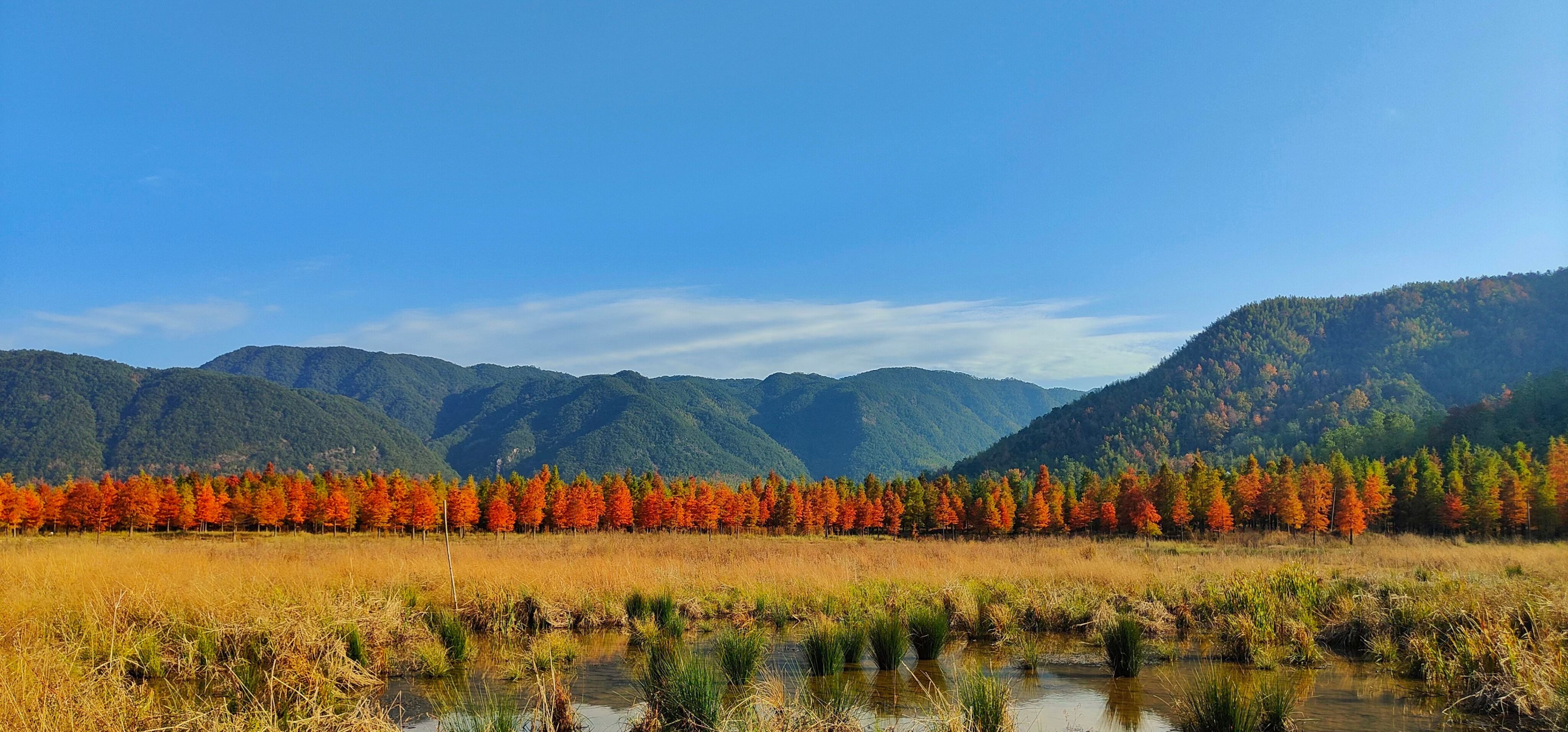 台州美景,喜欢这个季节的色彩,沉稳而浓郁![微笑]#ai助手创作季