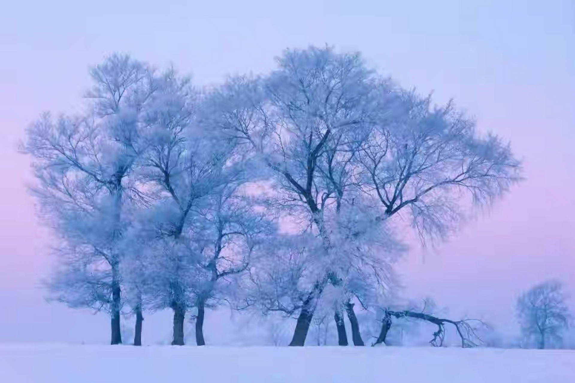 冬季九大看雪胜地,收藏起来了哦 1,伊春 2,哈尔滨 3,雾凇岛 4