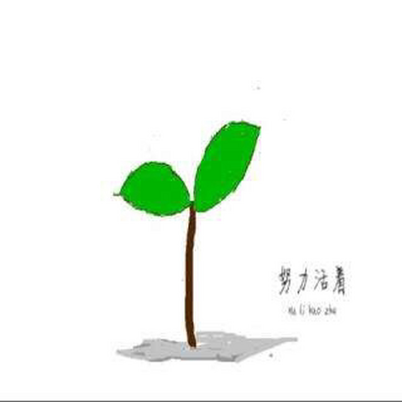 妈妈说我恋乡好,长大也要这样