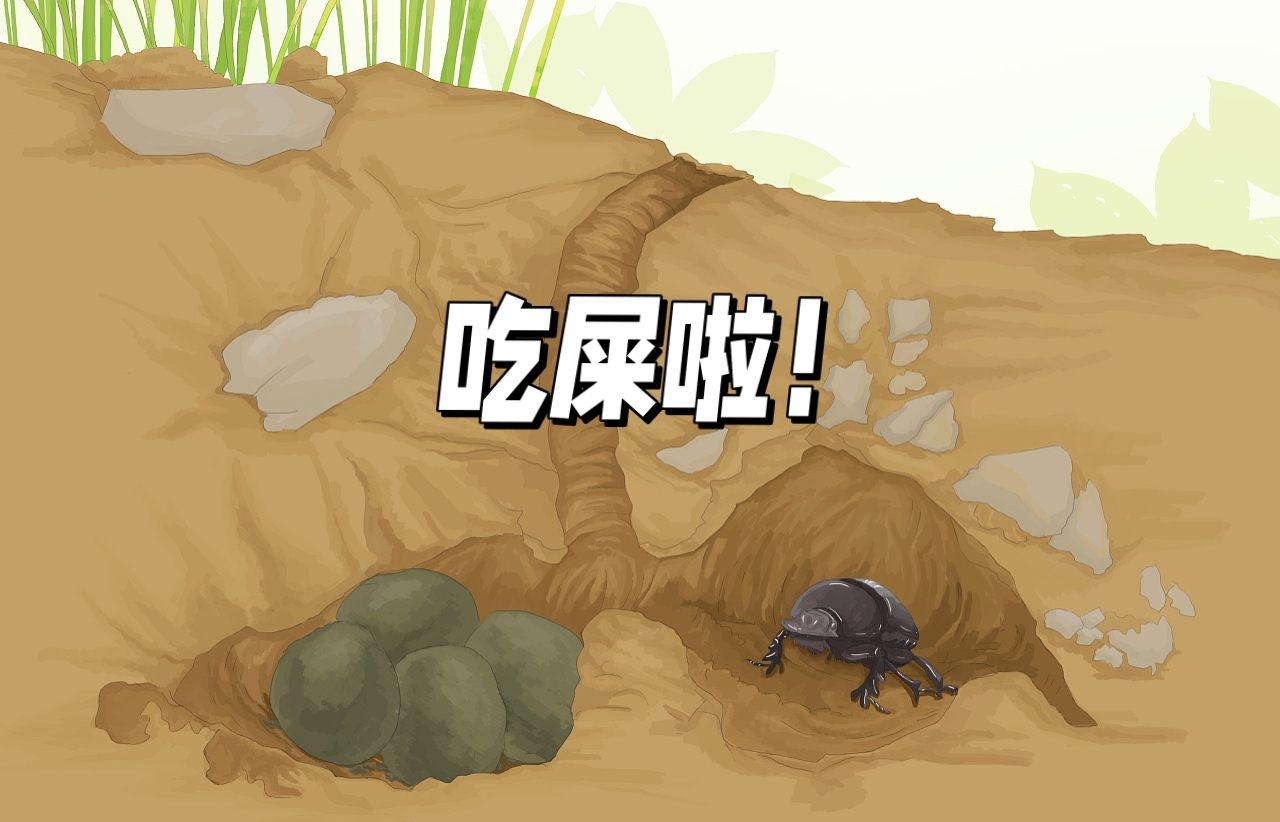 如果圣甲虫运气很好,遇到的是一位忠诚的搭档;或者它在路上