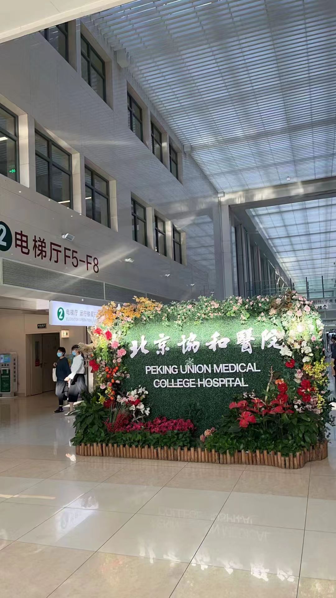 包含北京中医院代诊服务，陪诊挂号-合规加急协调的词条