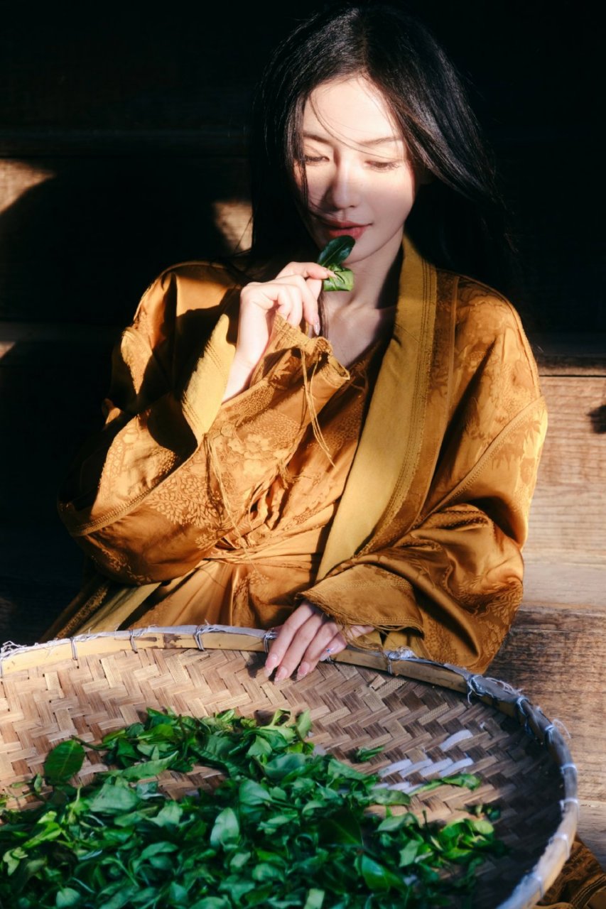 杨颖angelababy最新簪花造型,别样风格,一样惊艳.[鲜花][鲜花]