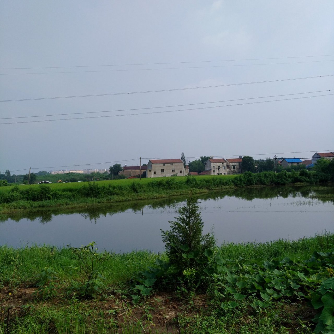 在安徽芜湖市大桥镇向阳村,近几年一直在拆迁,2008年前,这里是一个