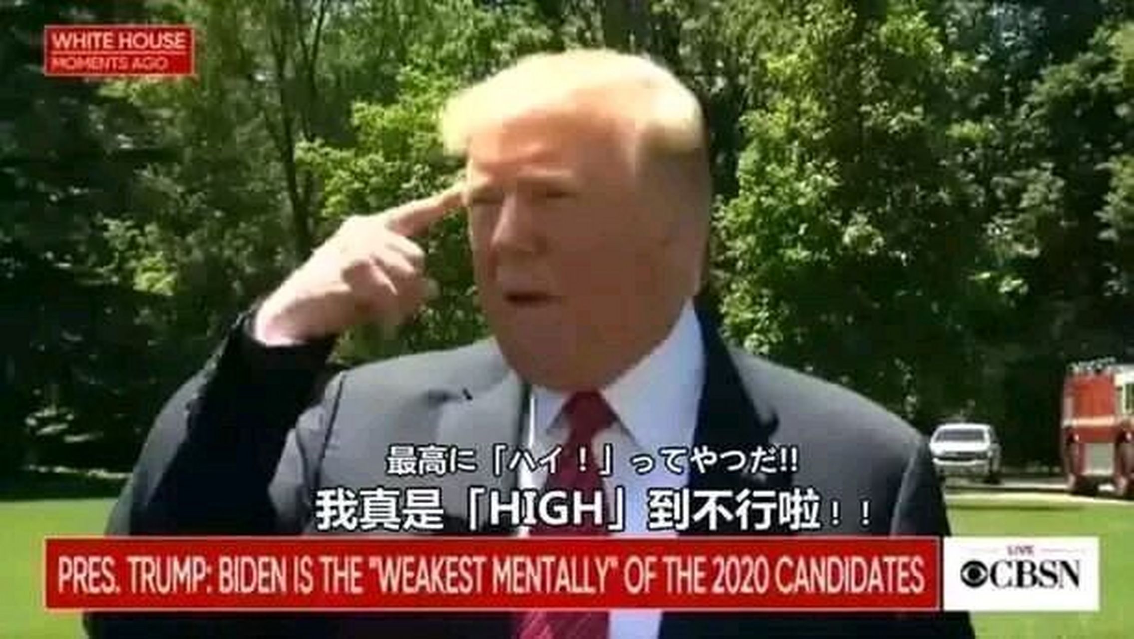 趣图搞笑 赛高尼high铁鸭子哒[滑稽[滑稽[滑稽]