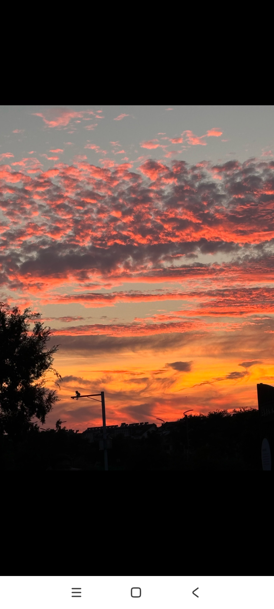 夕阳下的云彩,美得让人心醉,仿佛整个世界都沉浸在她的温柔中