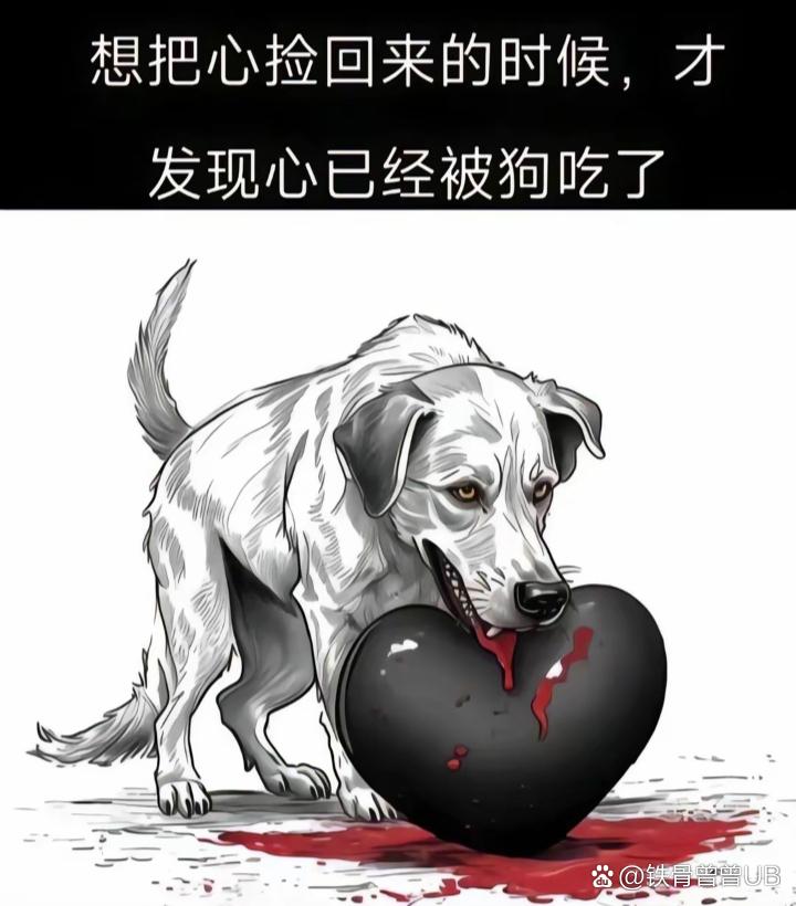 曾经,我满怀憧憬地敞开心扉,以为能收获同样炽热的温情与深切的关怀