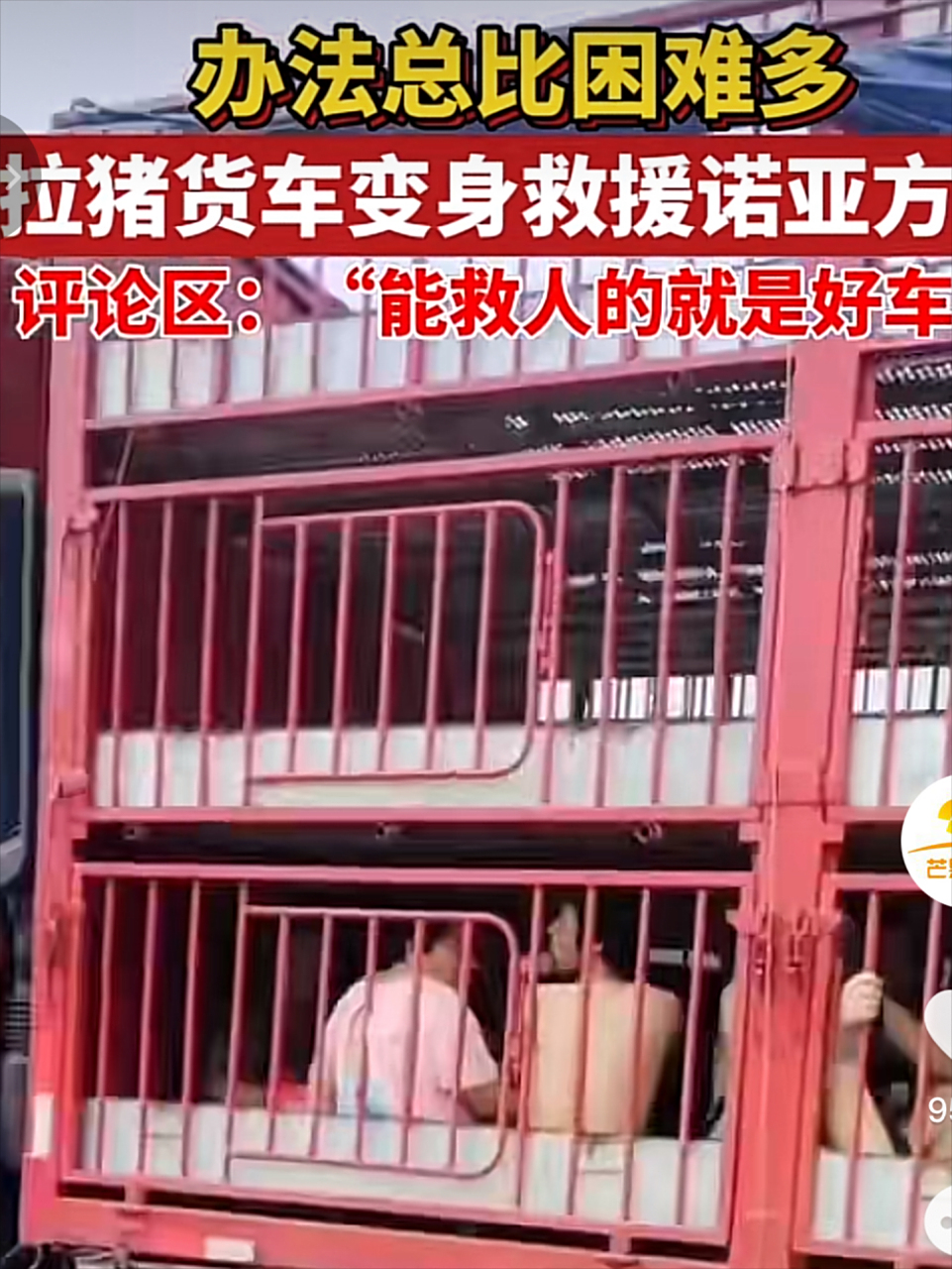 大灾面前,拉猪车秒变救援车!