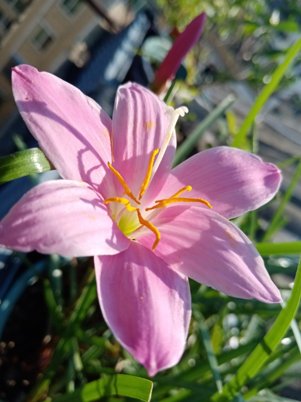 秋天一片欣欣向荣的景象