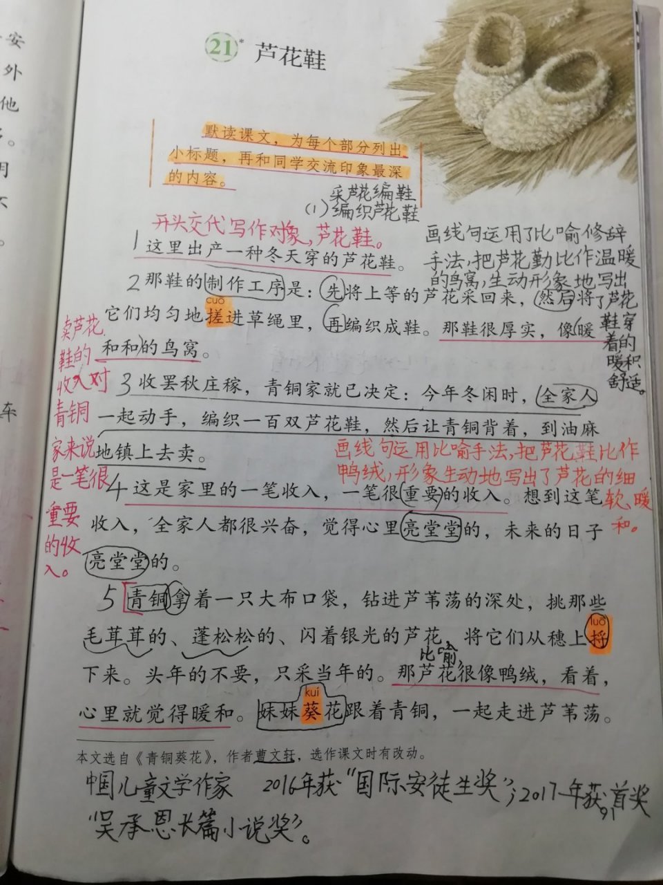 四年级下册21课芦花鞋课堂笔记,人教版!