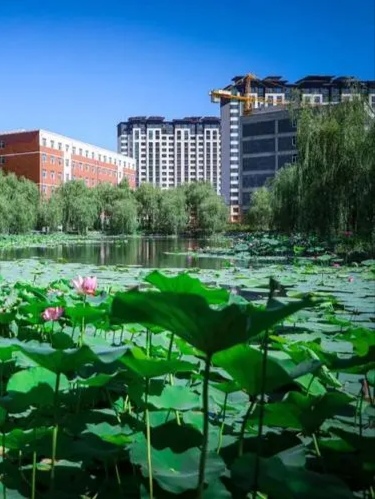 长春科技学院 全景图图片