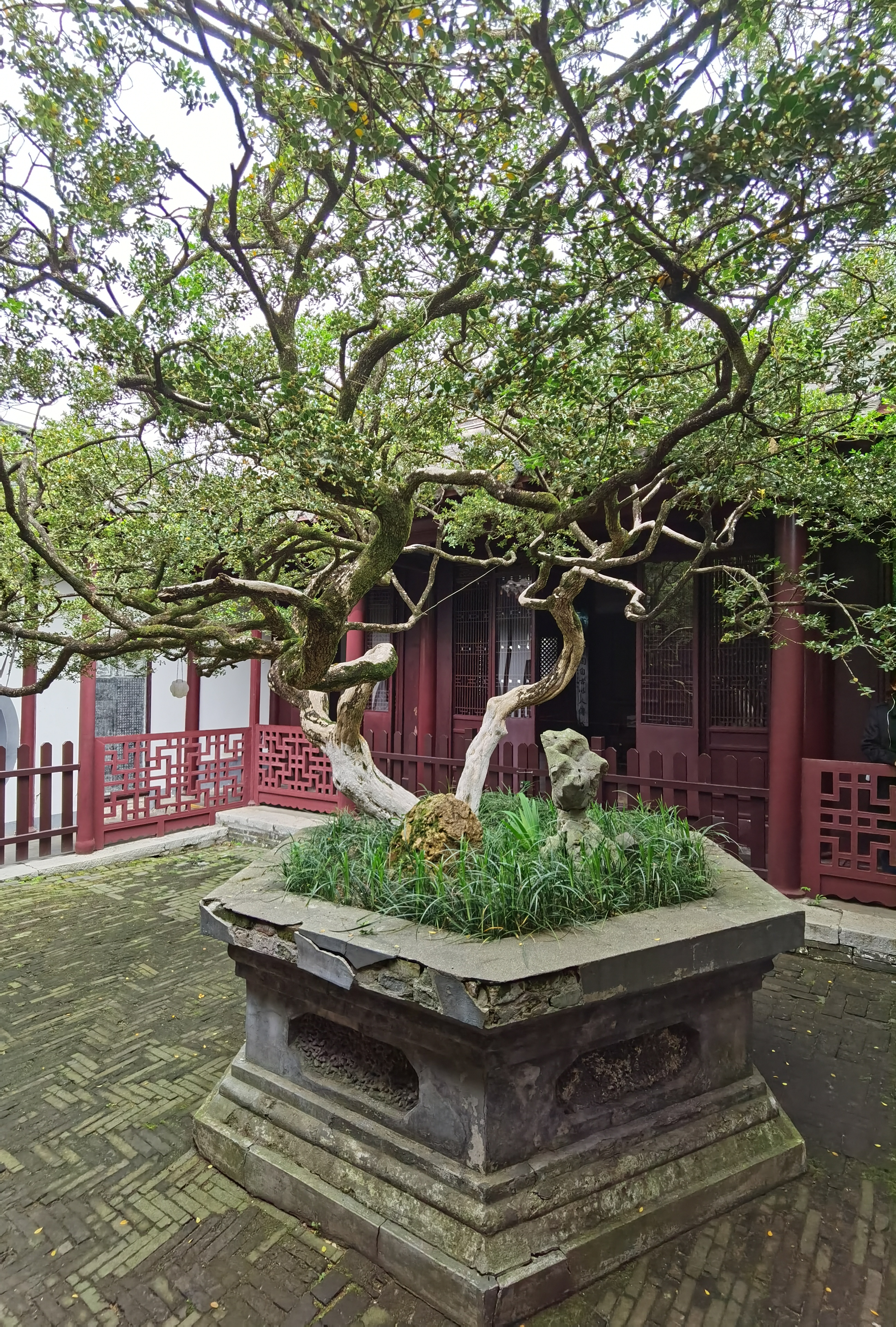 江苏如皋市水绘园,顾名思义,有众水汇聚之意,是以水绘成的私家园林.